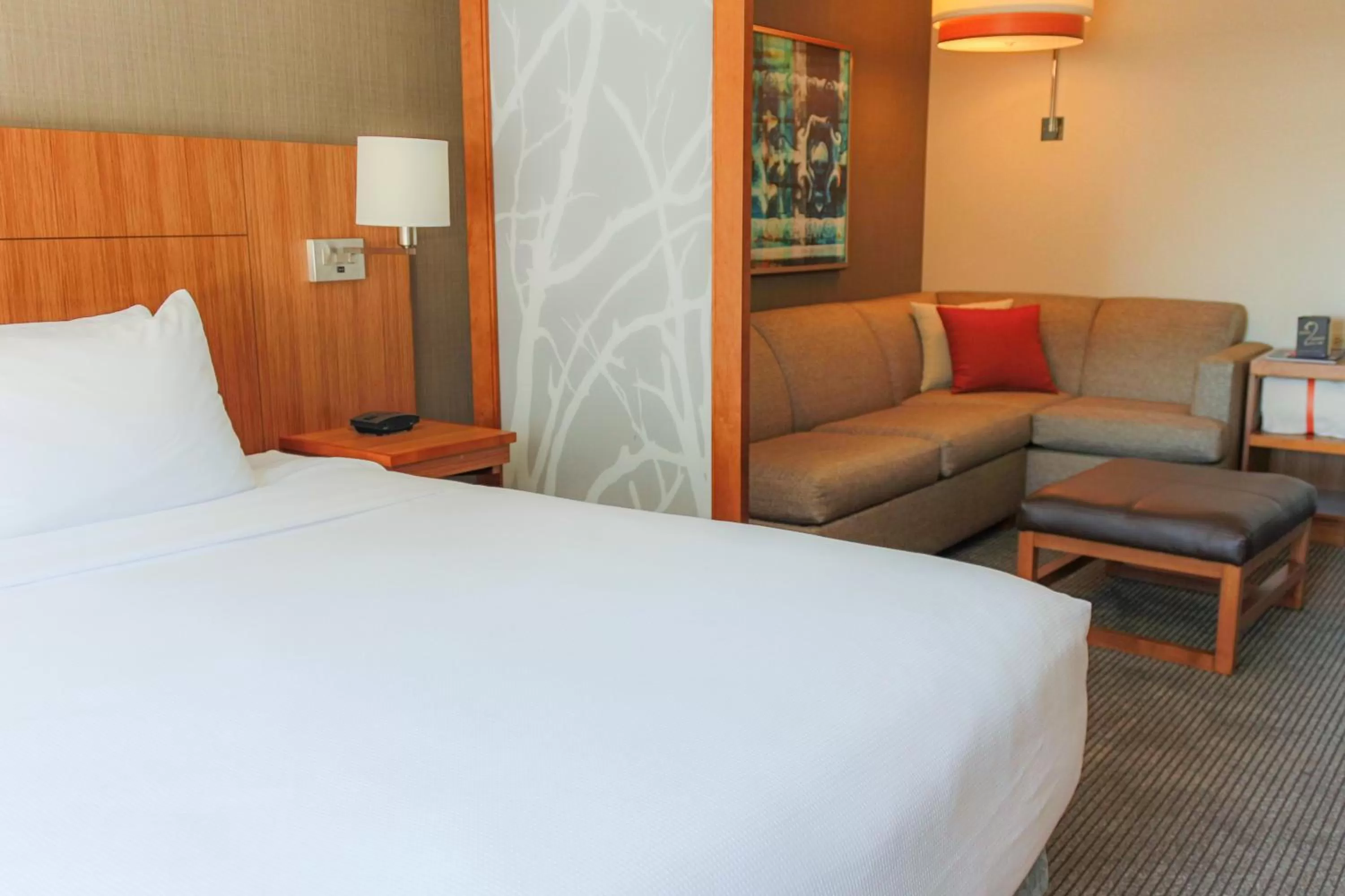 King Room with Sofa Bed - High Floor in Hyatt Place Chicago-South/University Medical Center