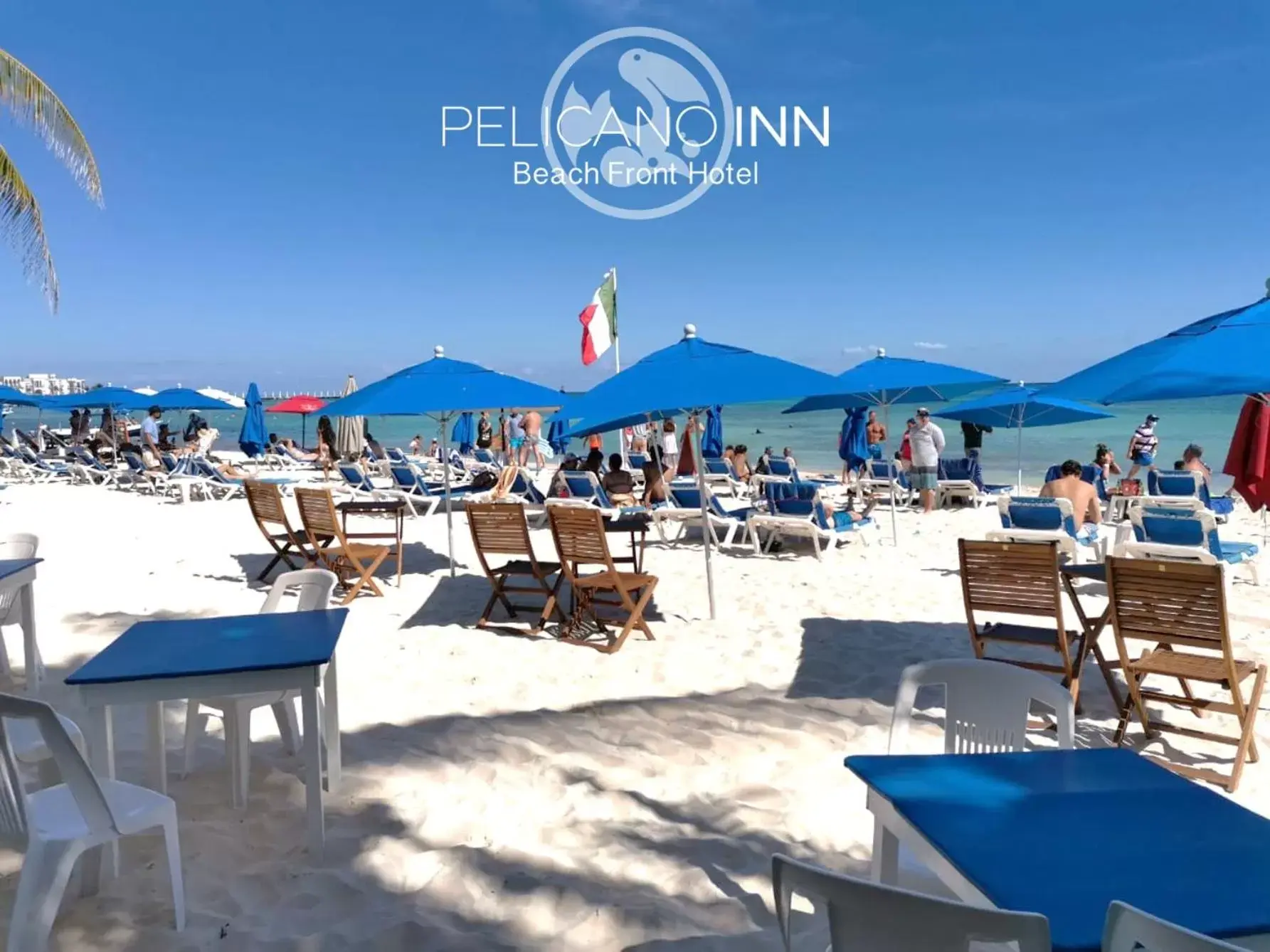 Restaurant/places to eat in Pelicano Inn Playa del Carmen - Beachfront Hotel
