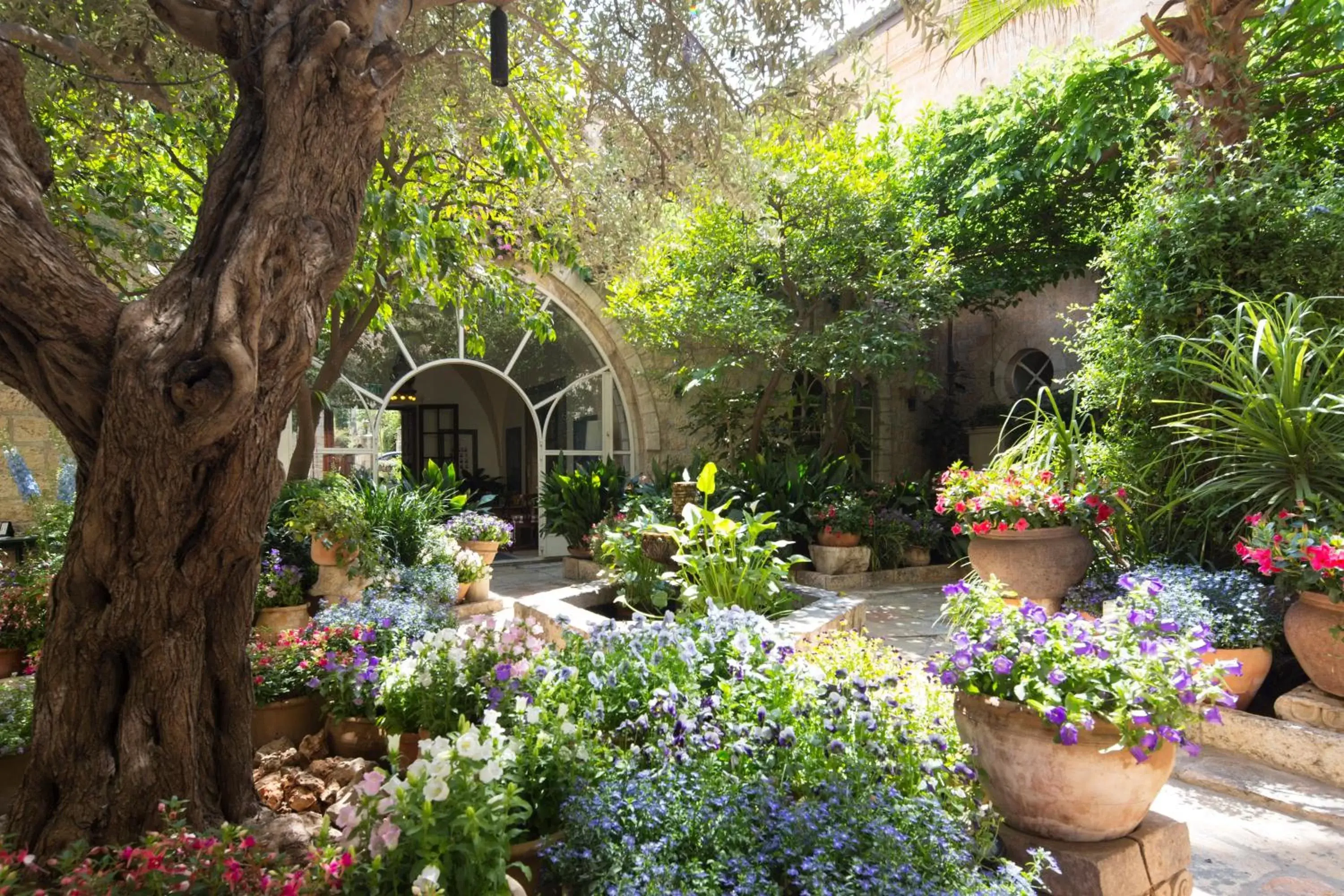 Garden in The American Colony Hotel - Small Luxury Hotels of the World