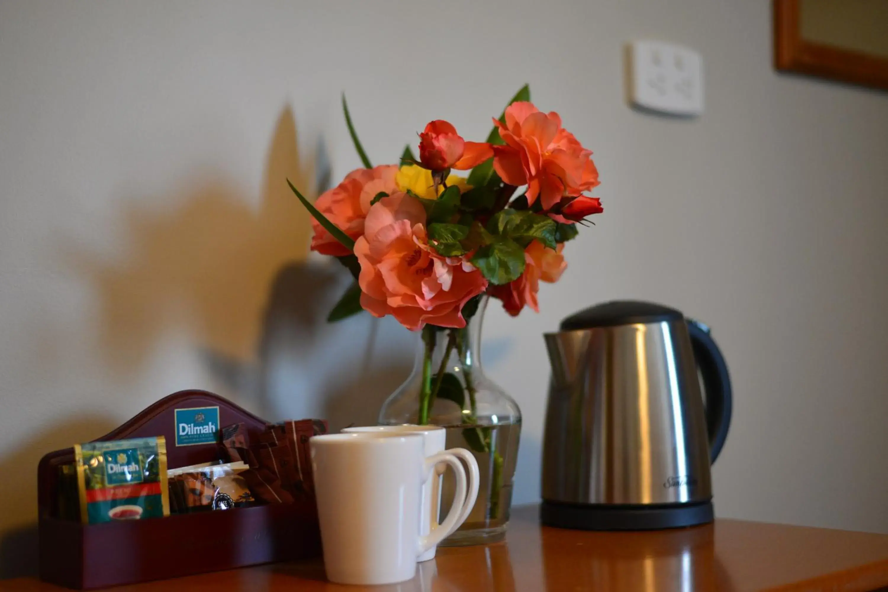 Coffee/tea facilities in Abisko Lodge