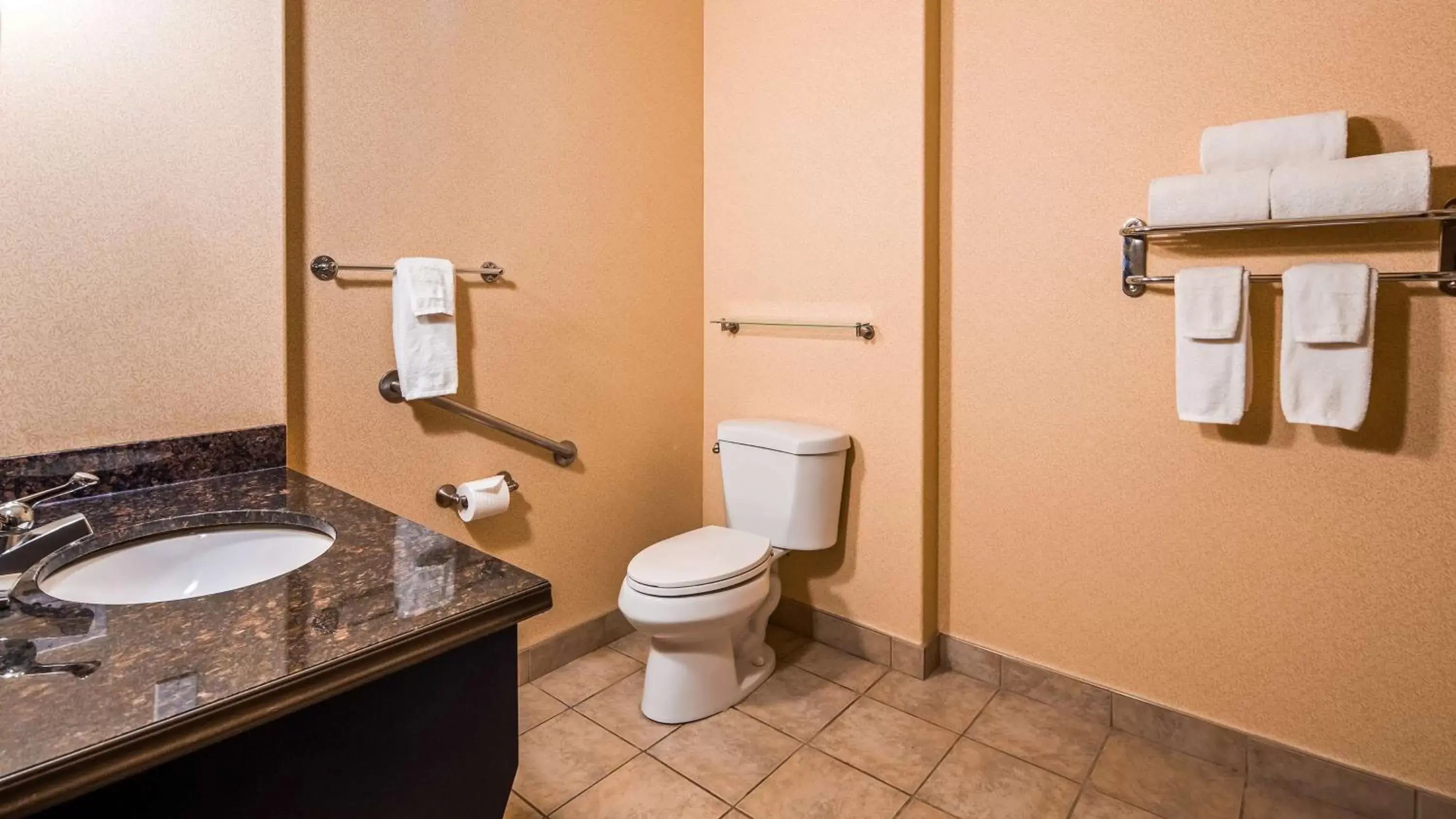Photo of the whole room, Bathroom in Best Western Plus Estevan Inn & Suites