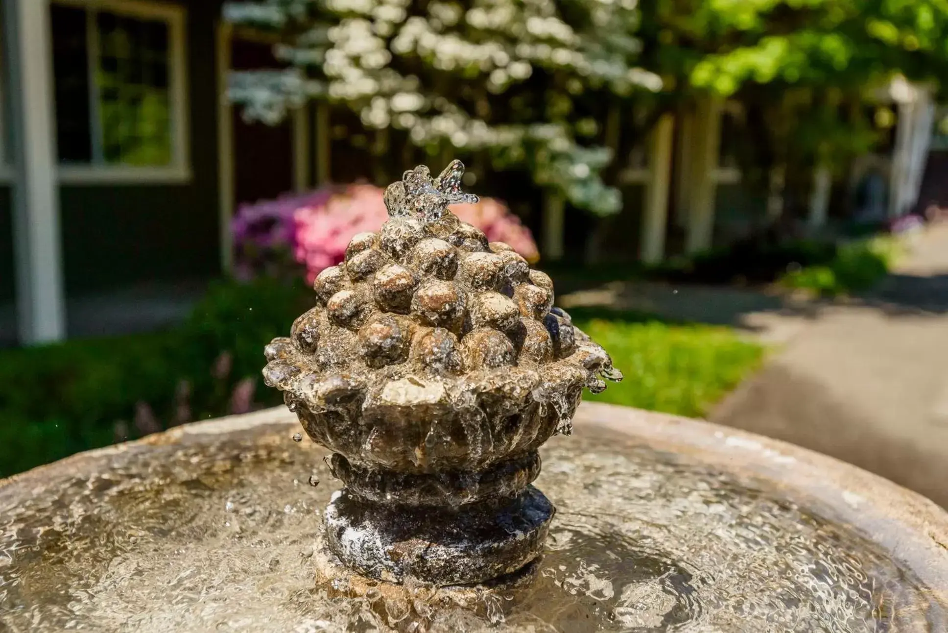 The Jack London Lodge The Jack London Lodge