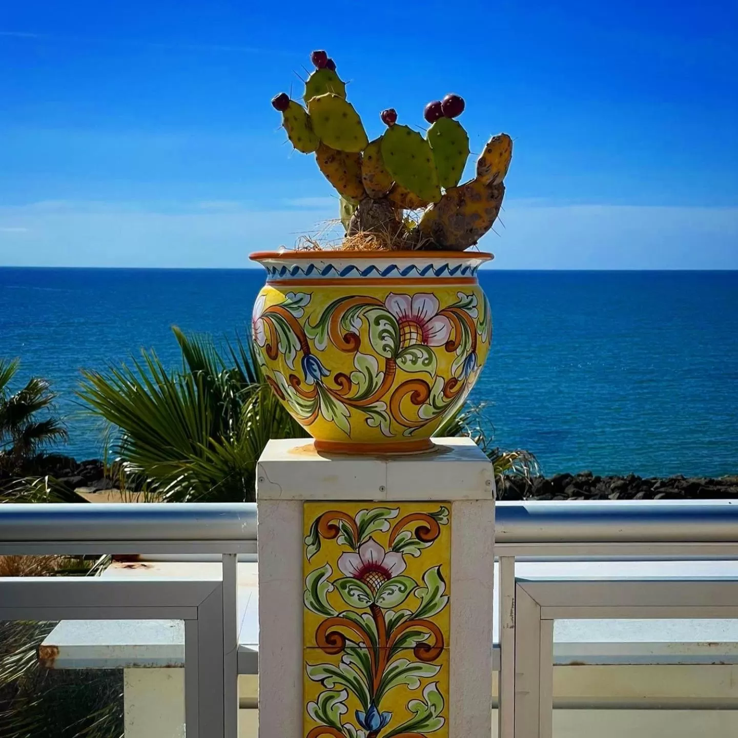 Restaurant/places to eat in Hotel Sul Mare Al Gabbiano