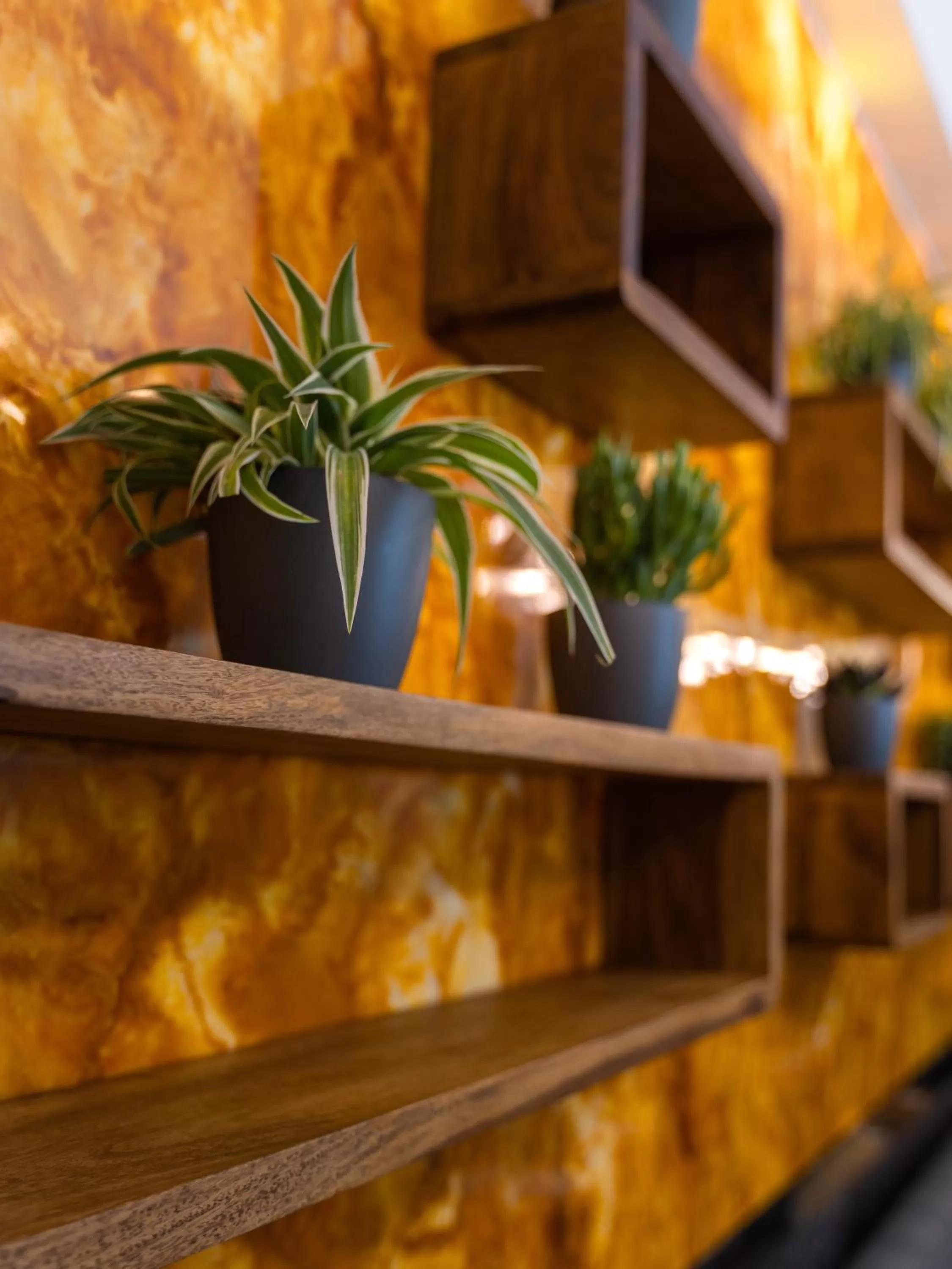 Restaurant/places to eat in Hotel Unique Pearl