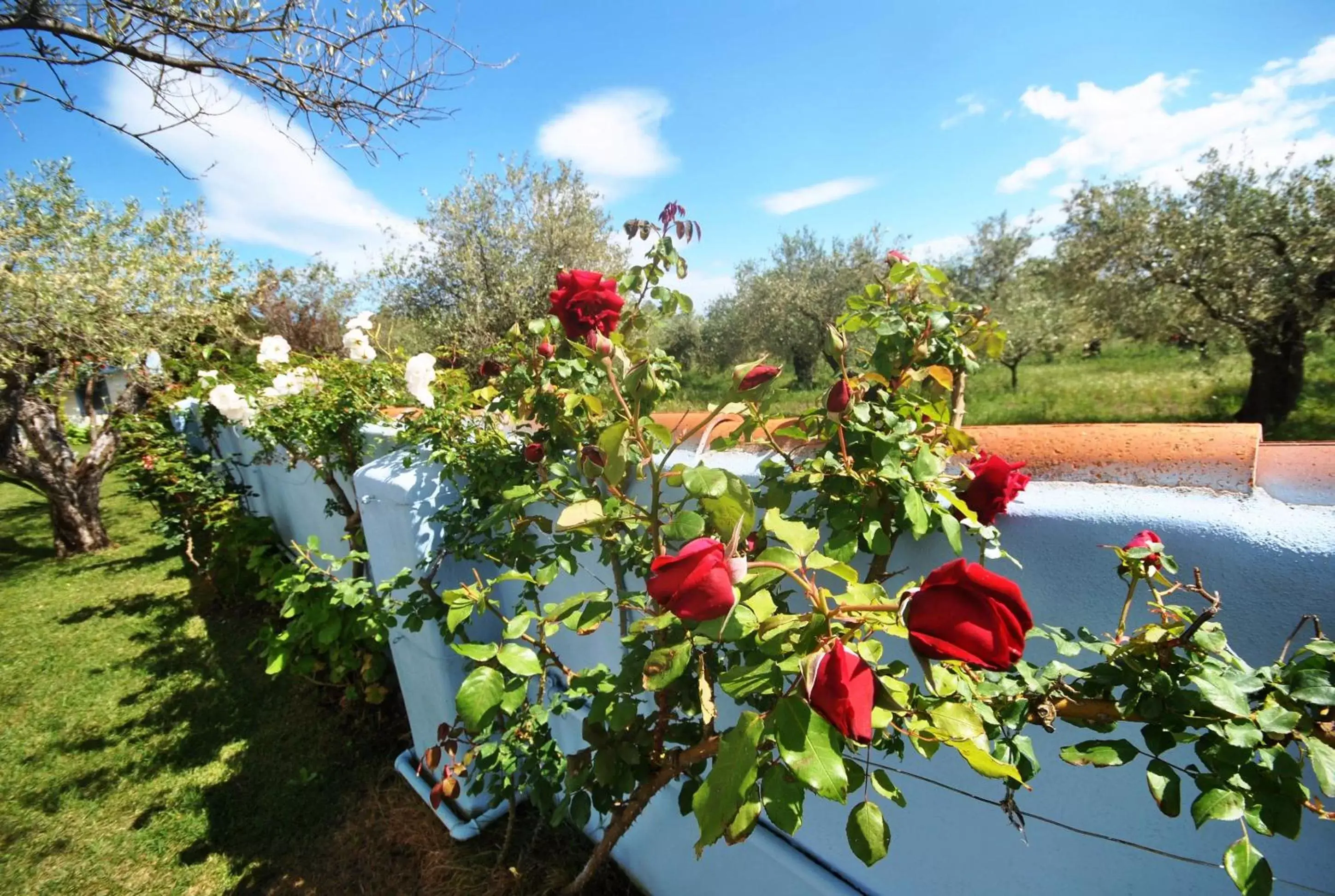 Garden in Holiday Residence Rifugio