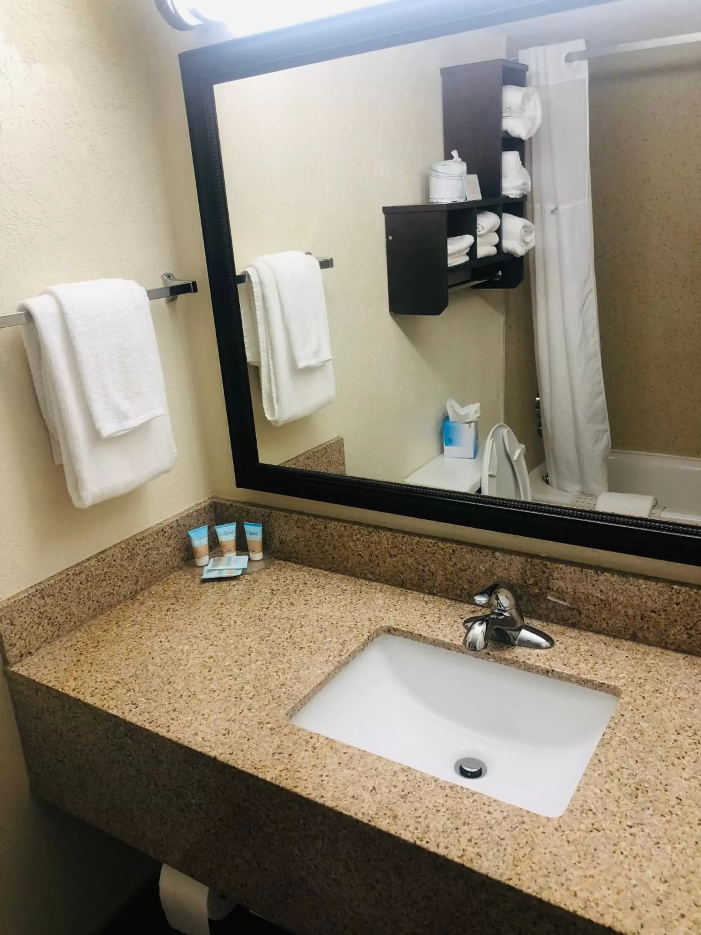 Bathroom in Quail Inn and Suites - Myrtle Beach