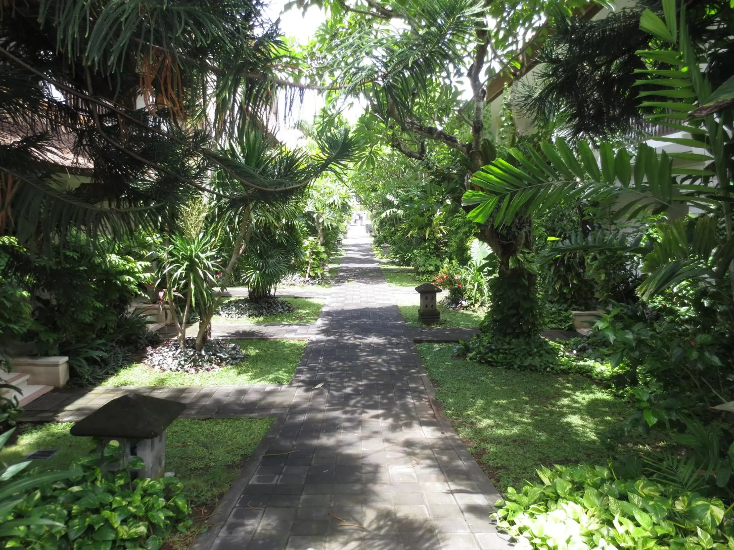 Garden in Puri Raja Hotel