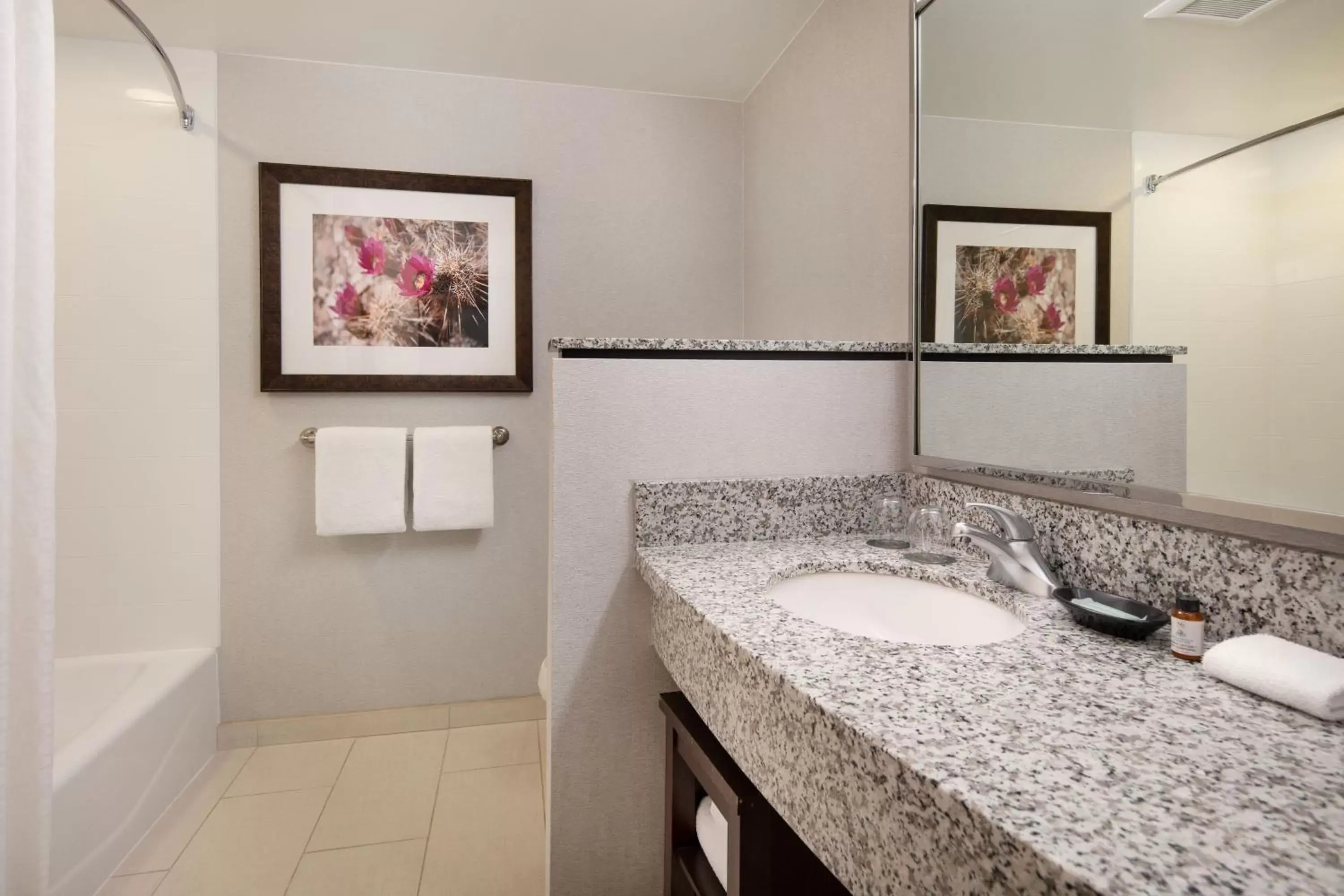 Bathroom in Courtyard by Marriott Scottsdale Salt River