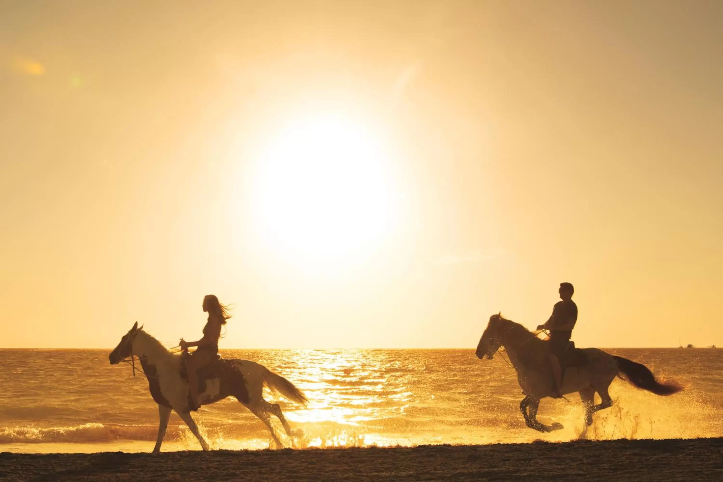 Horse-riding, Horseback Riding in Zoëtry Agua Punta Cana, Punta Cana, Dominican Republic