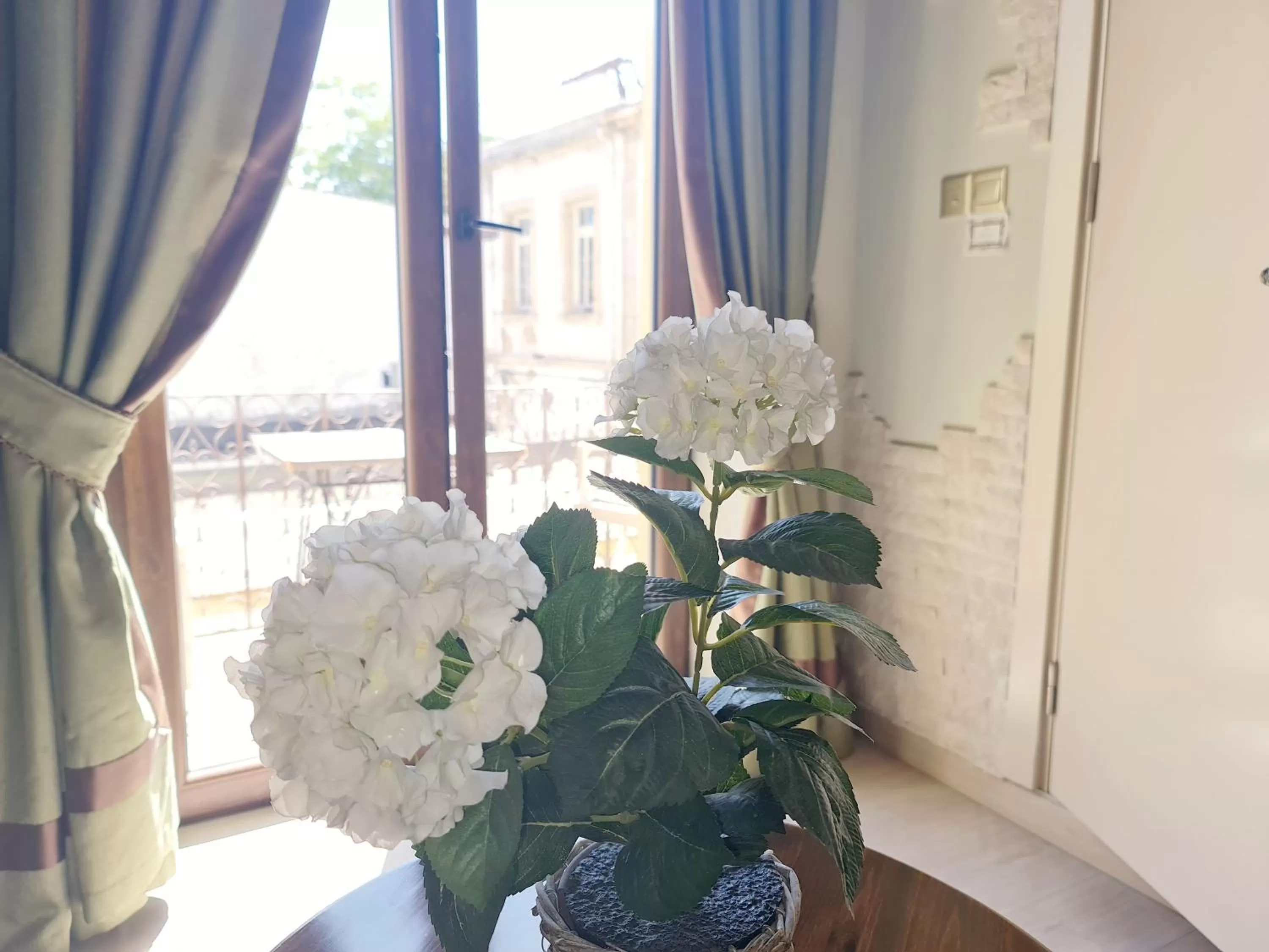 View (from property/room) in SOFIA BOUTIQUE HOTEL