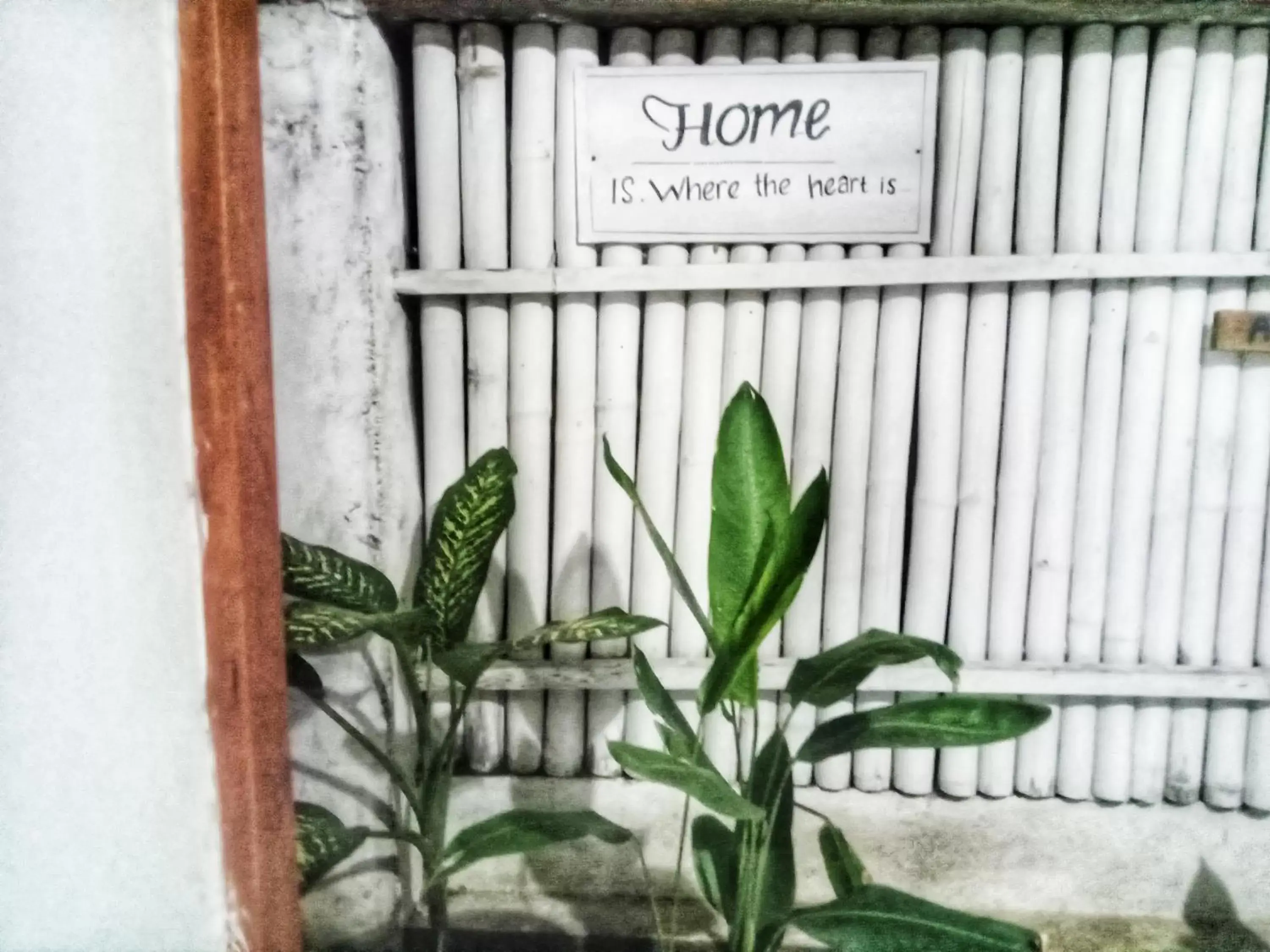 Breakfast in Uki village bungalows Breakfast in Uki village bungalows