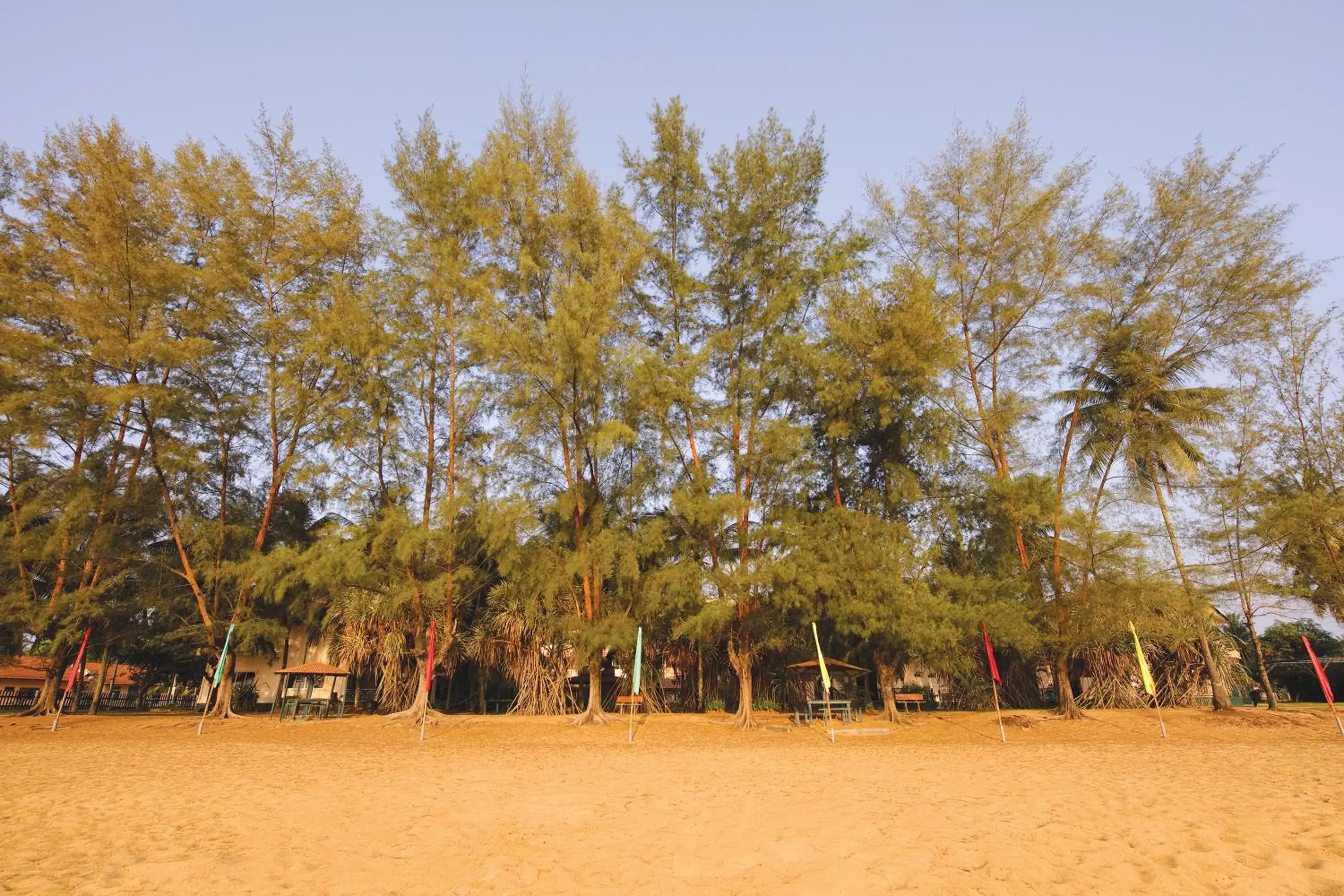 View (from property/room) in The Qamar Paka Resort