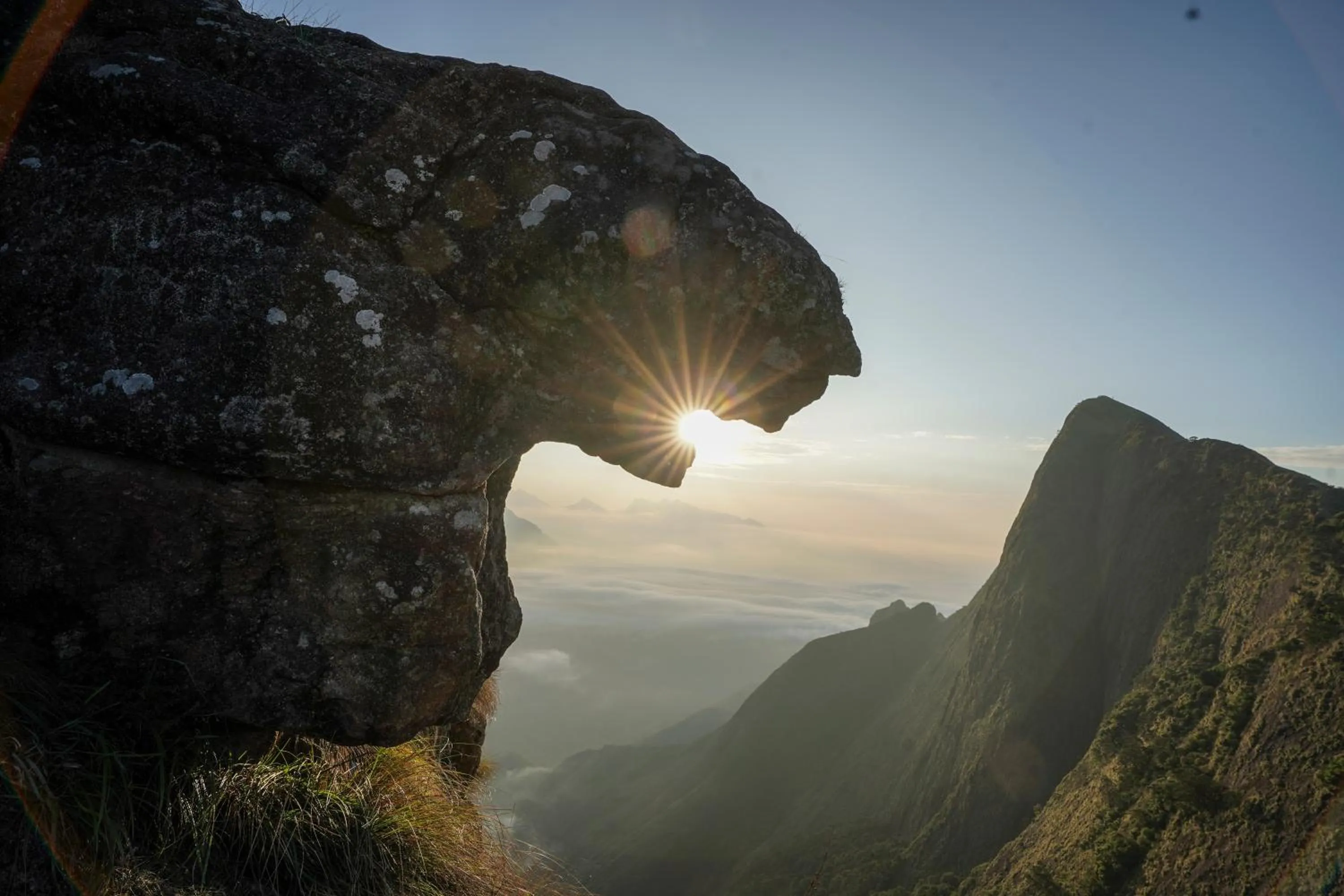 Natural landscape in Tea Valley Resort, Munnar