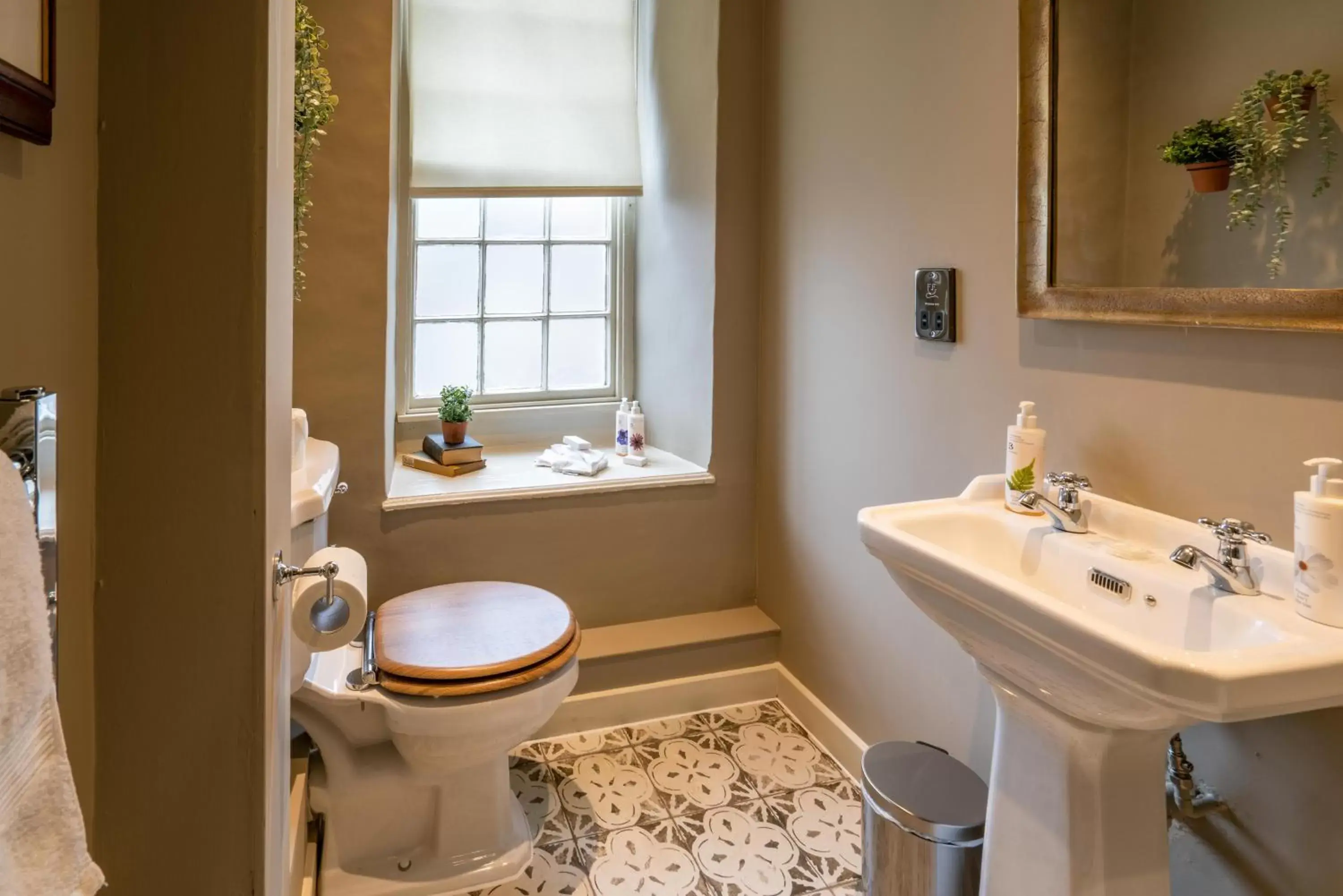 Toilet, Bathroom in The George Inn & Plaine