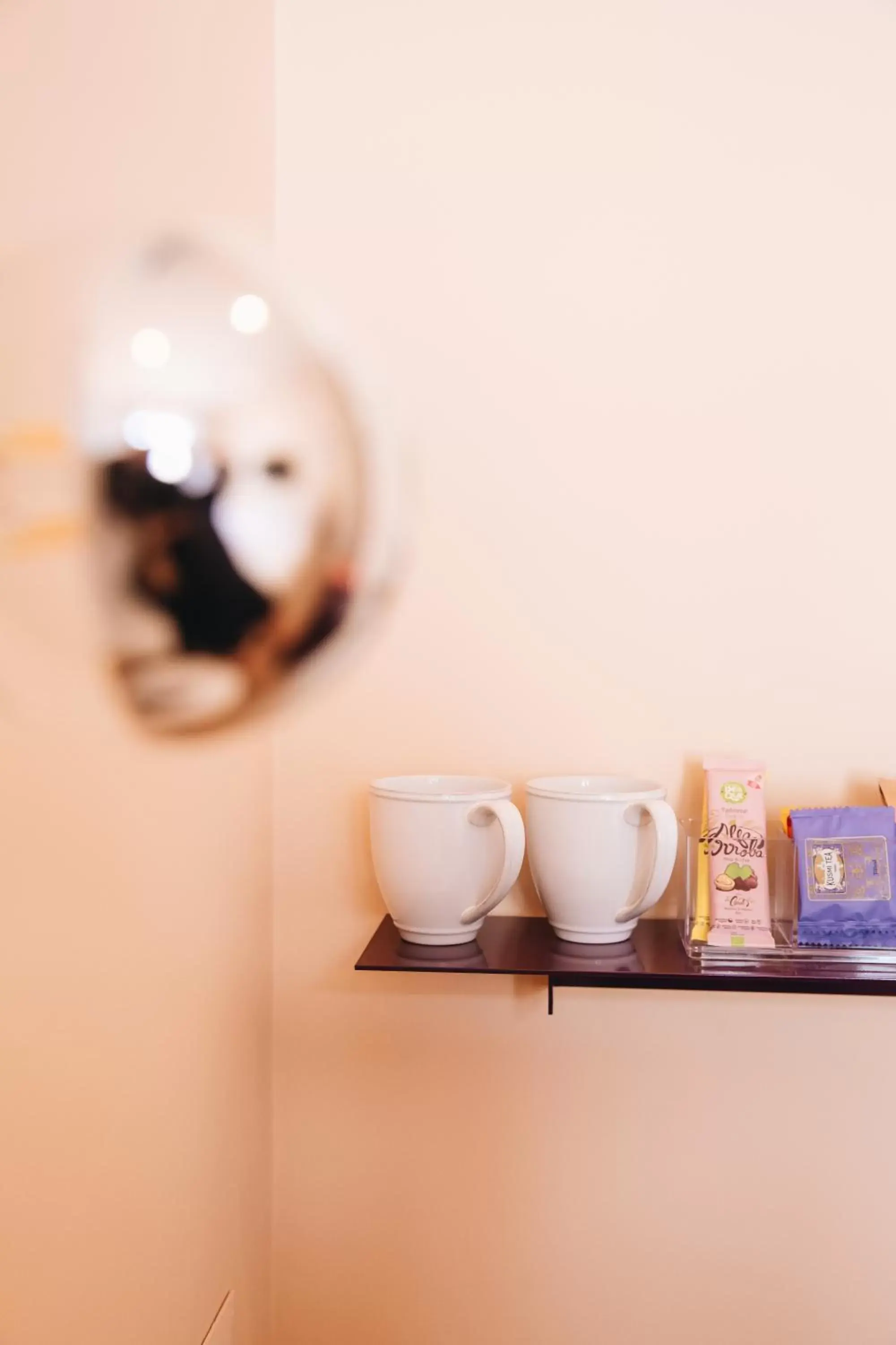 Coffee/tea facilities, Bathroom in Esqina Cosmopolitan Lodge