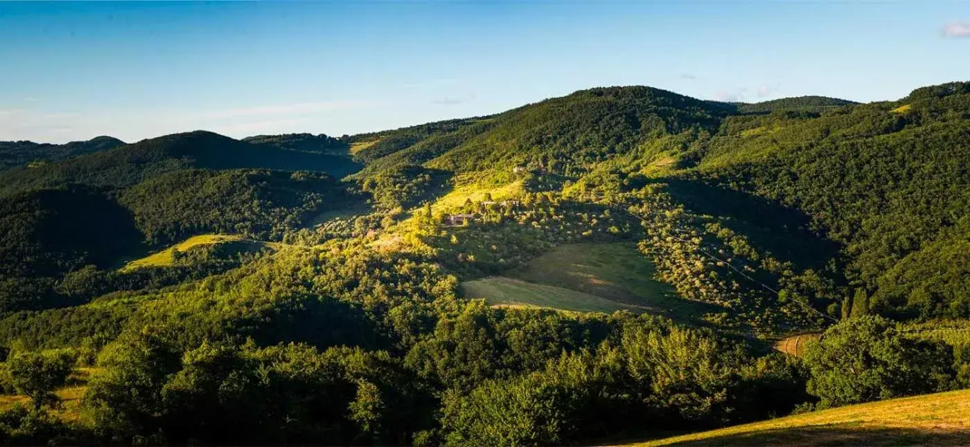 Natural landscape in Le Silve di Armenzano