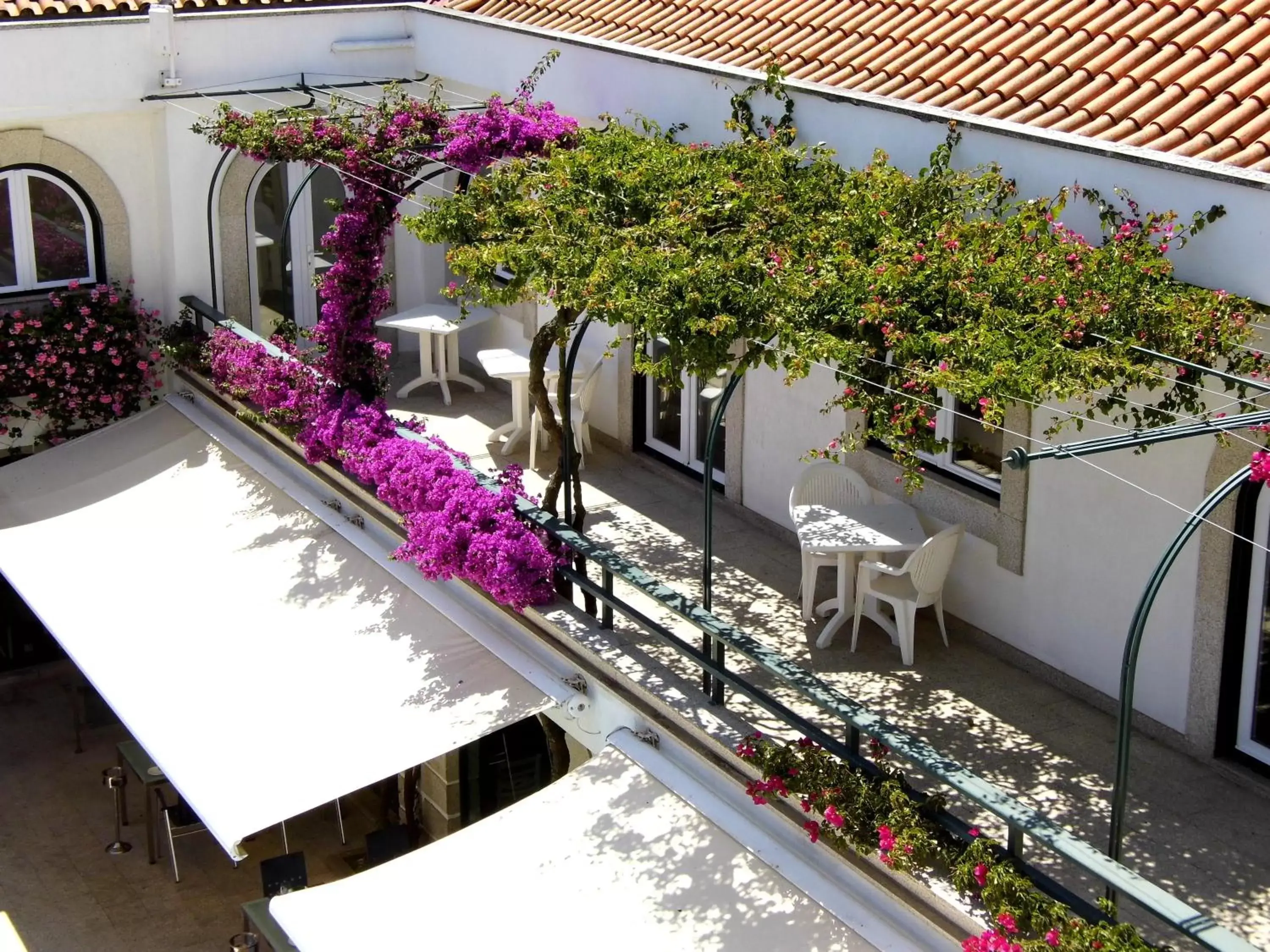 Balcony/Terrace in Hotel Suave Mar