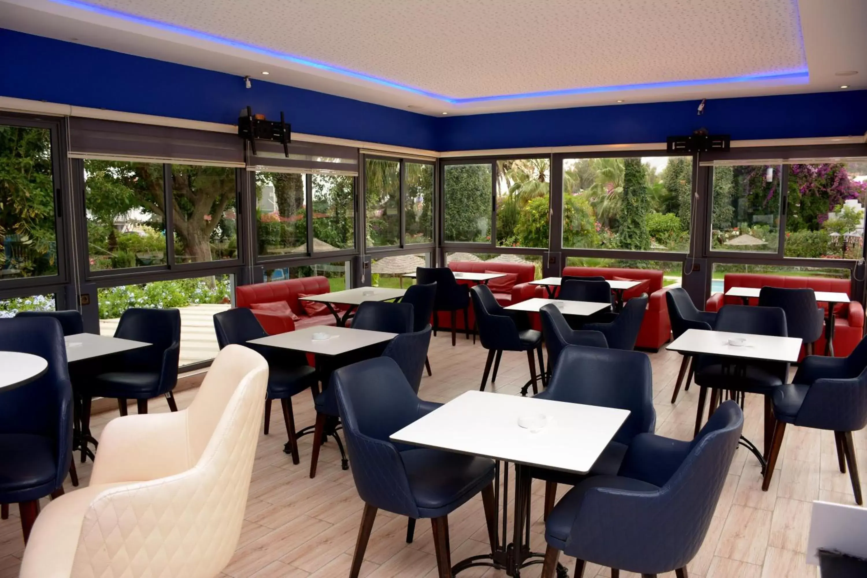 Lounge or bar, Restaurant/Places to Eat in Oasis Hotel & Spa