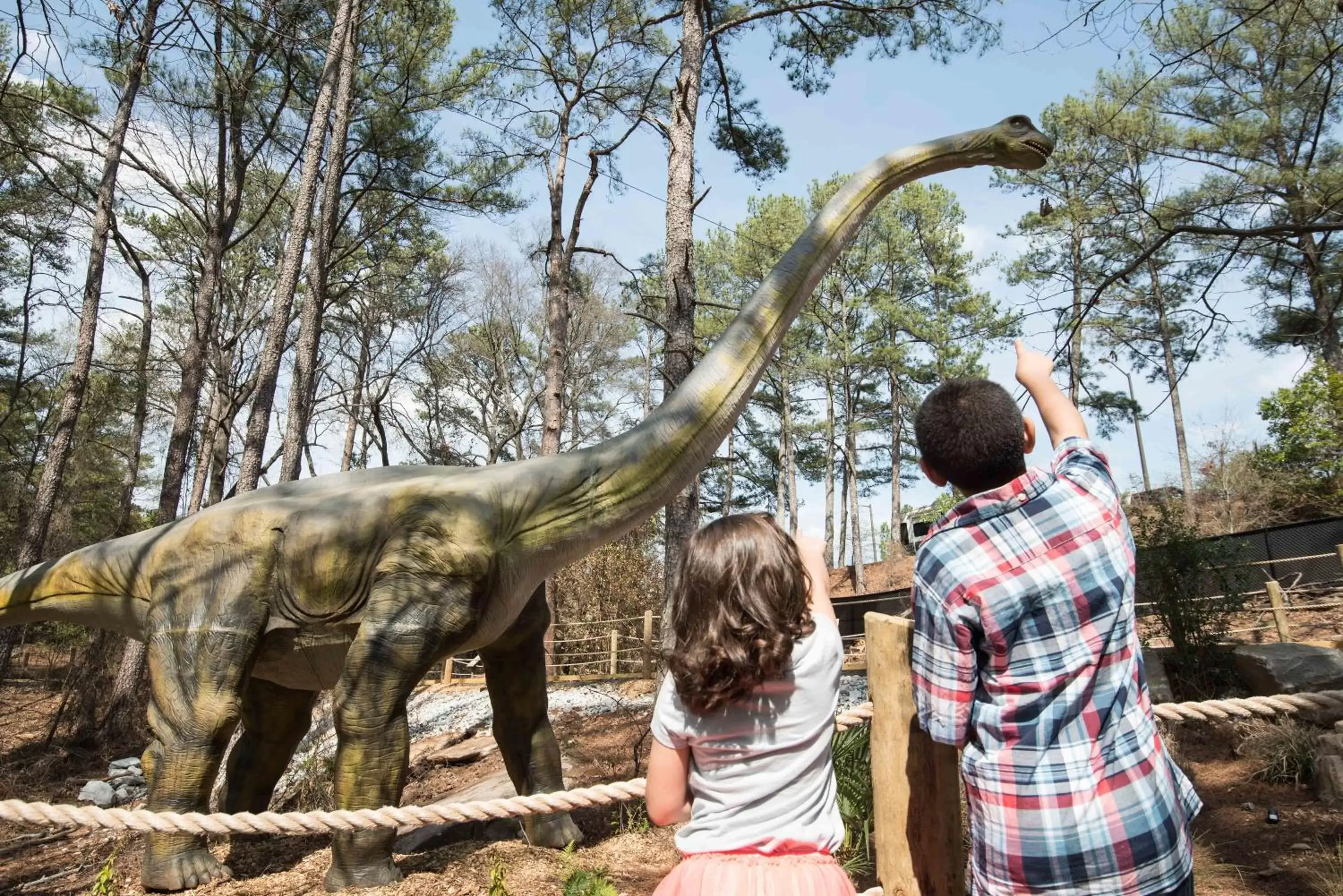 Activities, Children in The Inn at Stone Mountain Park