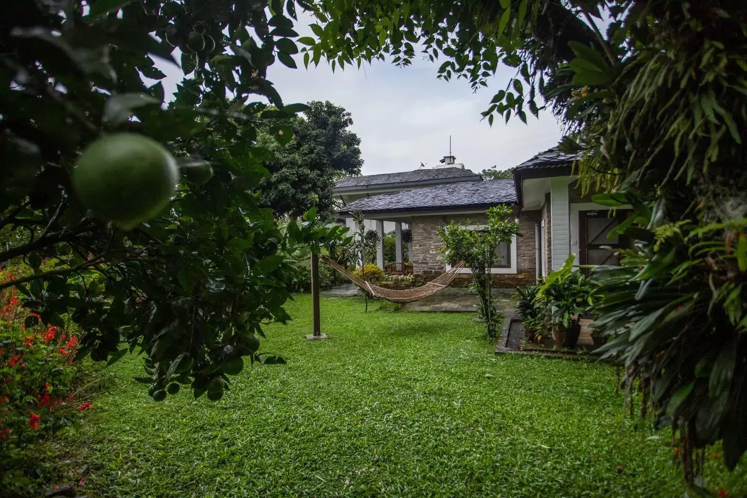 Garden, Property Building in Fish Tail Lodge