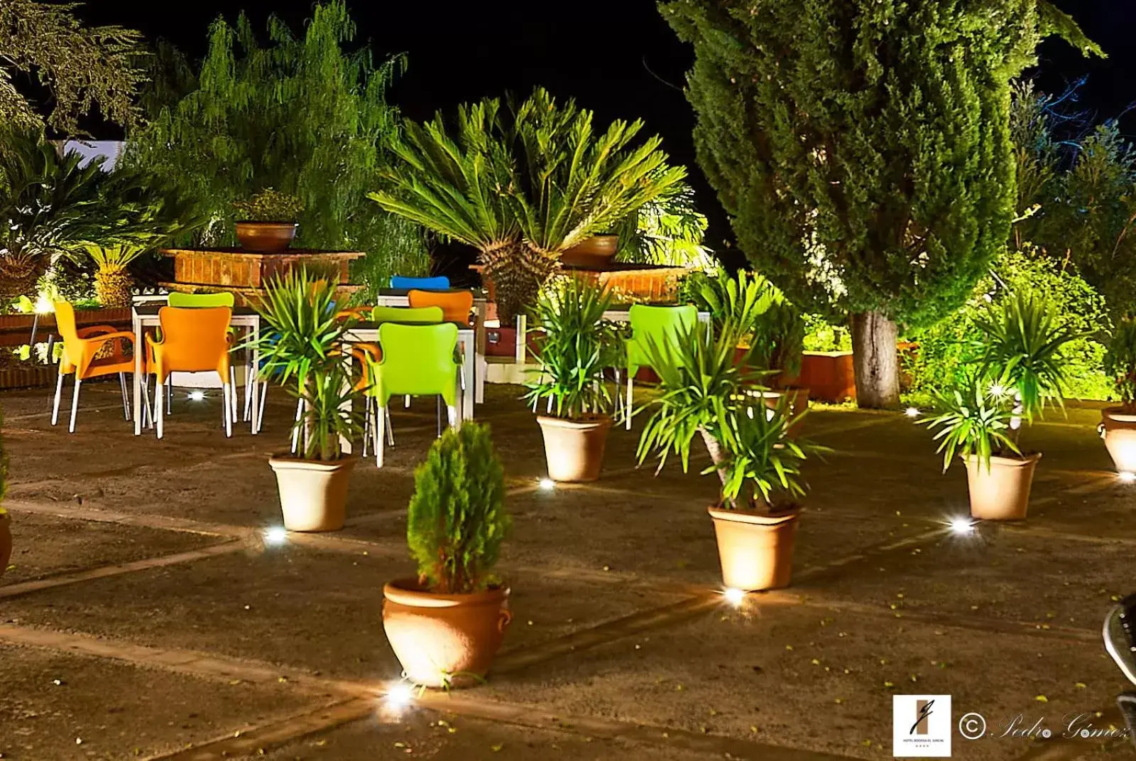 Patio in Hotel Bodega El Juncal