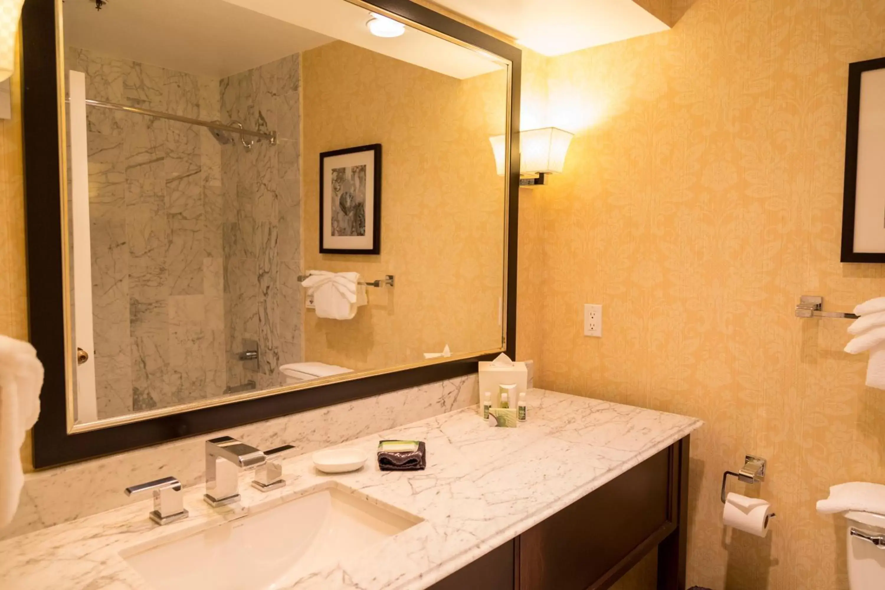 Bathroom in Carlsbad Inn Beach Resort