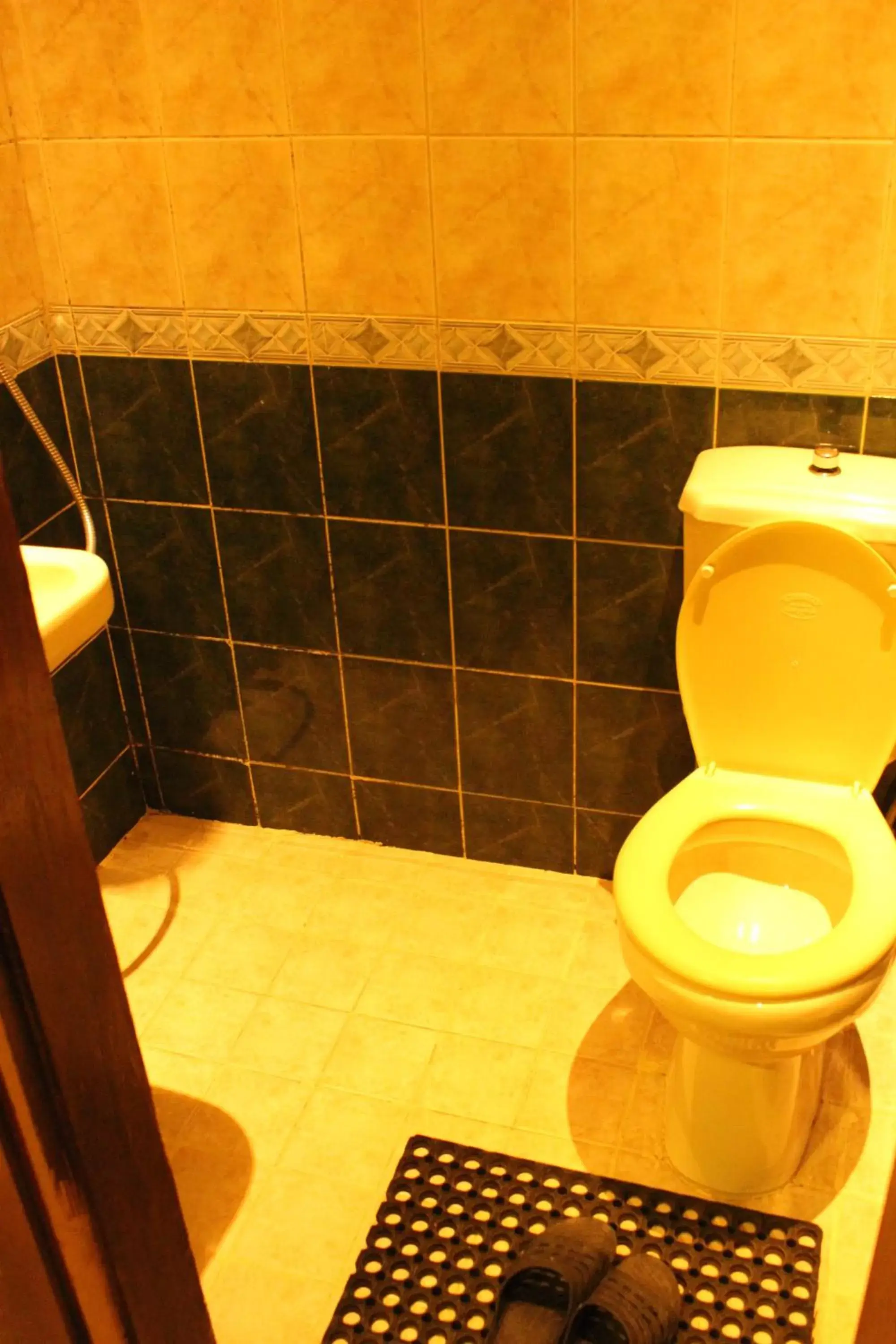 Toilet, Bathroom in Arab Tower Hotel