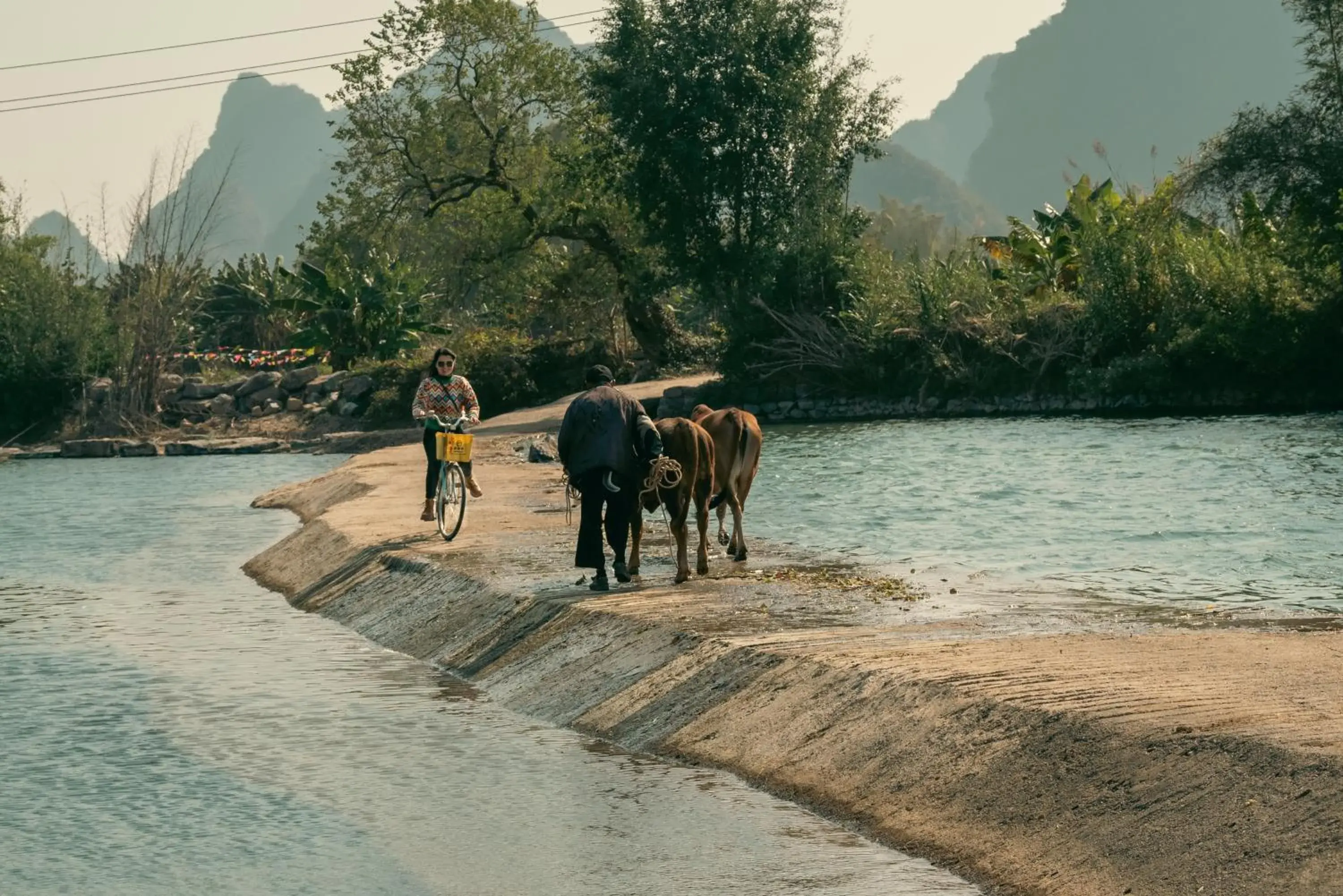 Activities, Other Animals in Yangshuo Moondance Hotel