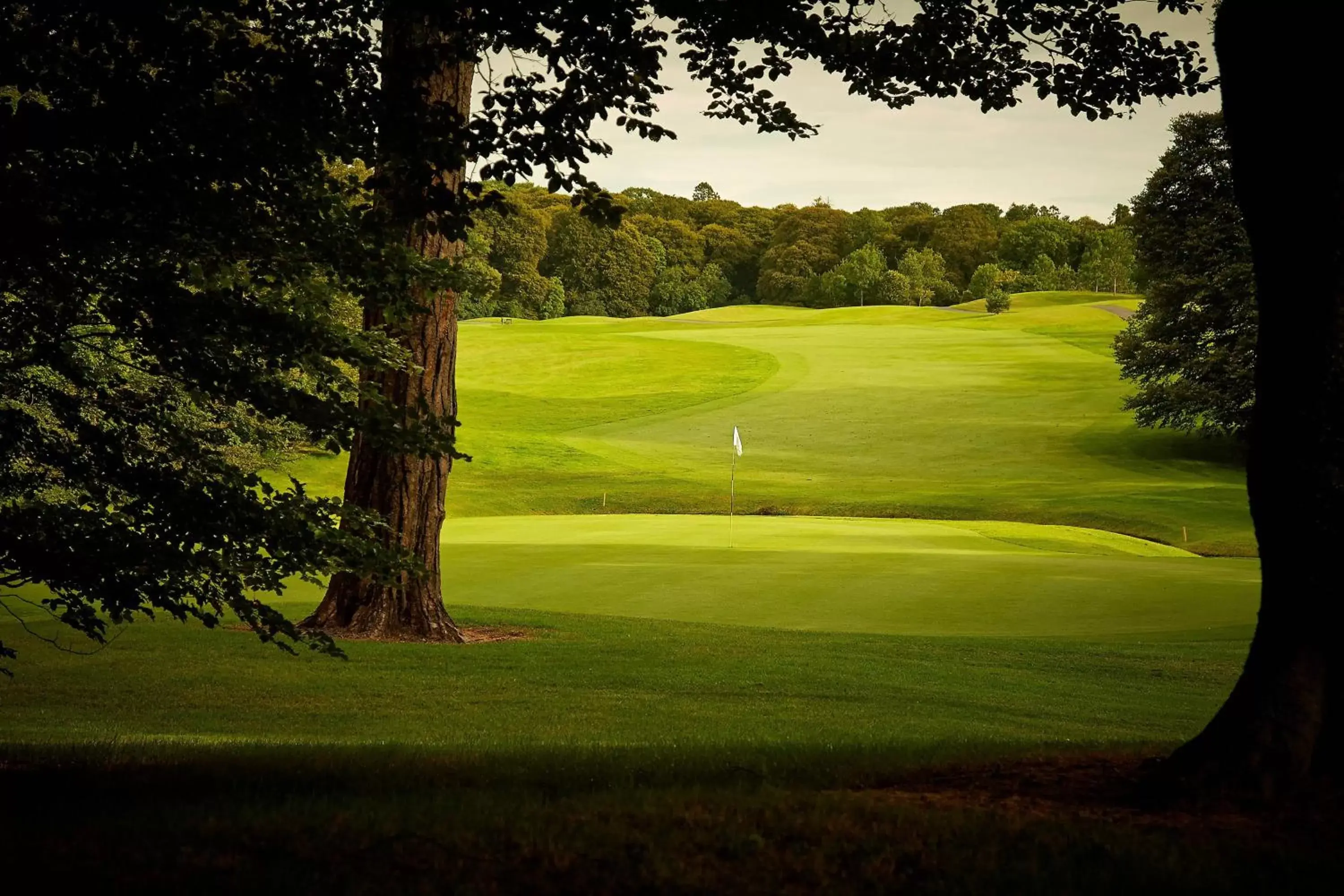 Golfcourse, Golf in Mount Juliet Estate, Autograph Collection