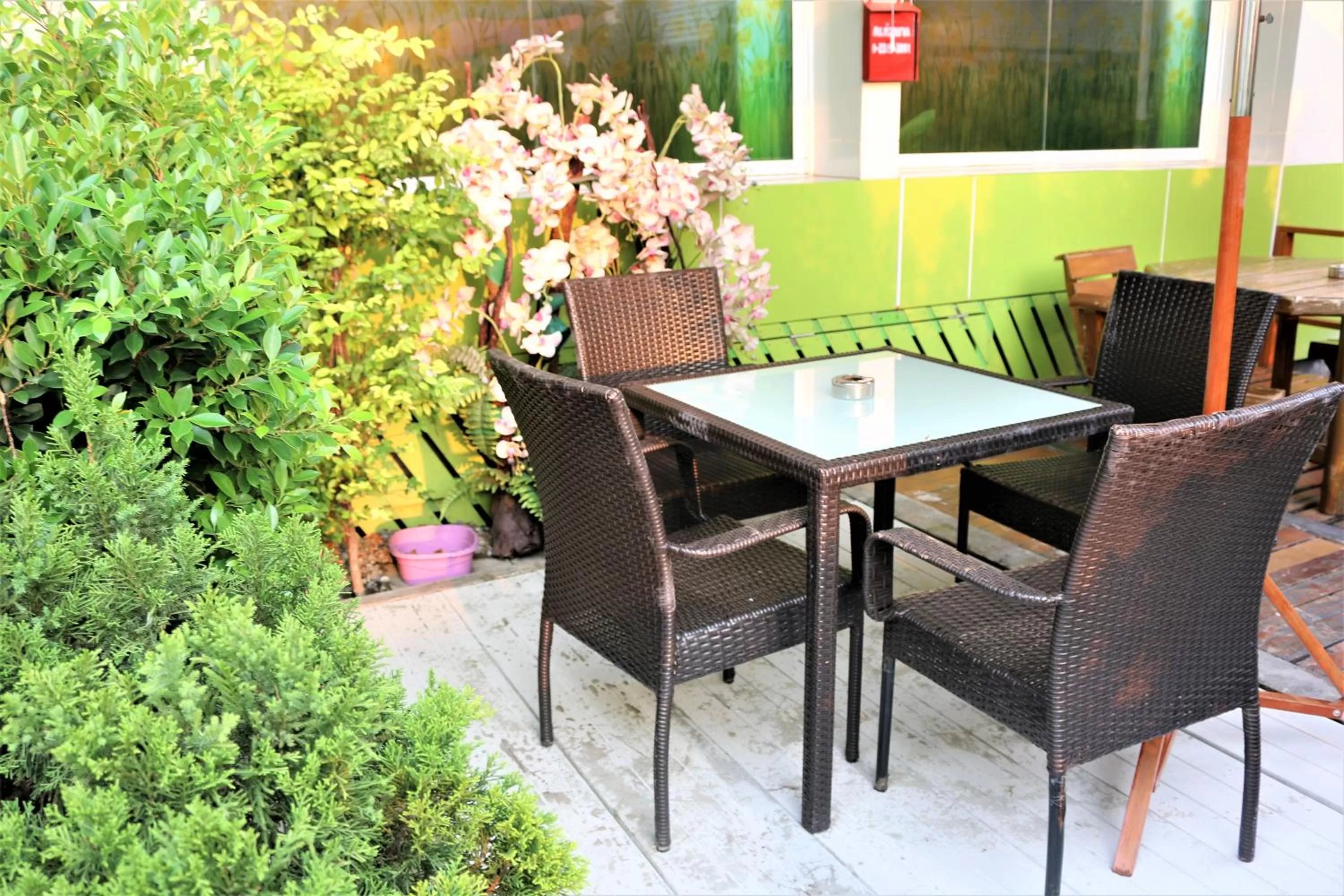 Garden in Lucky Green View