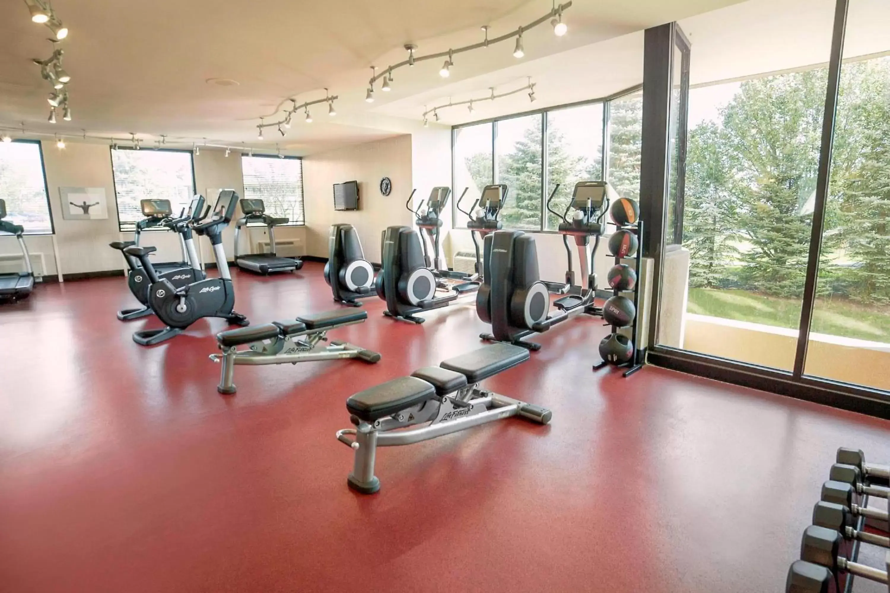 Fitness centre/facilities, Fitness Center/Facilities in Ann Arbor Marriott Ypsilanti at Eagle Crest