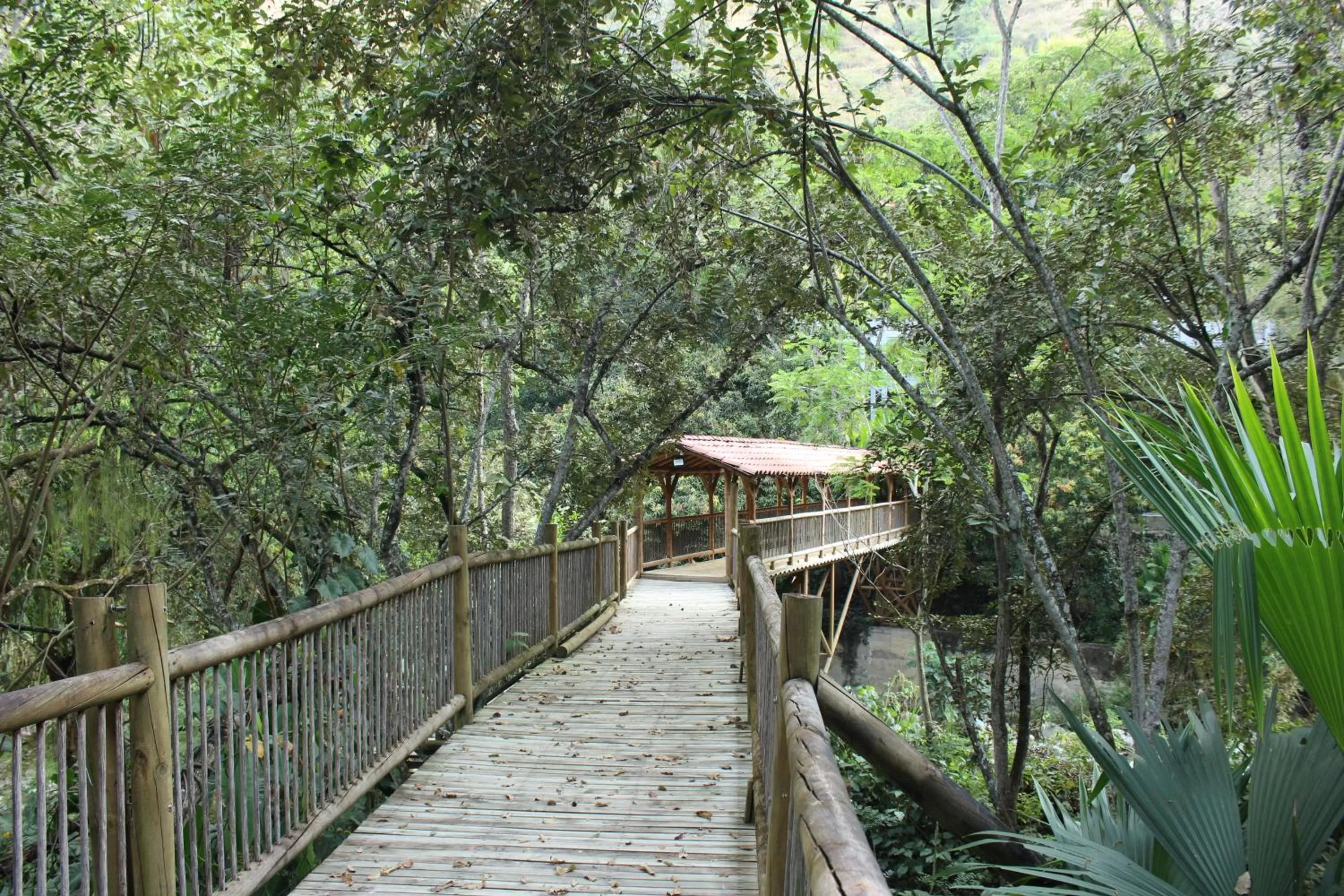 Natural landscape in Rio Escondido