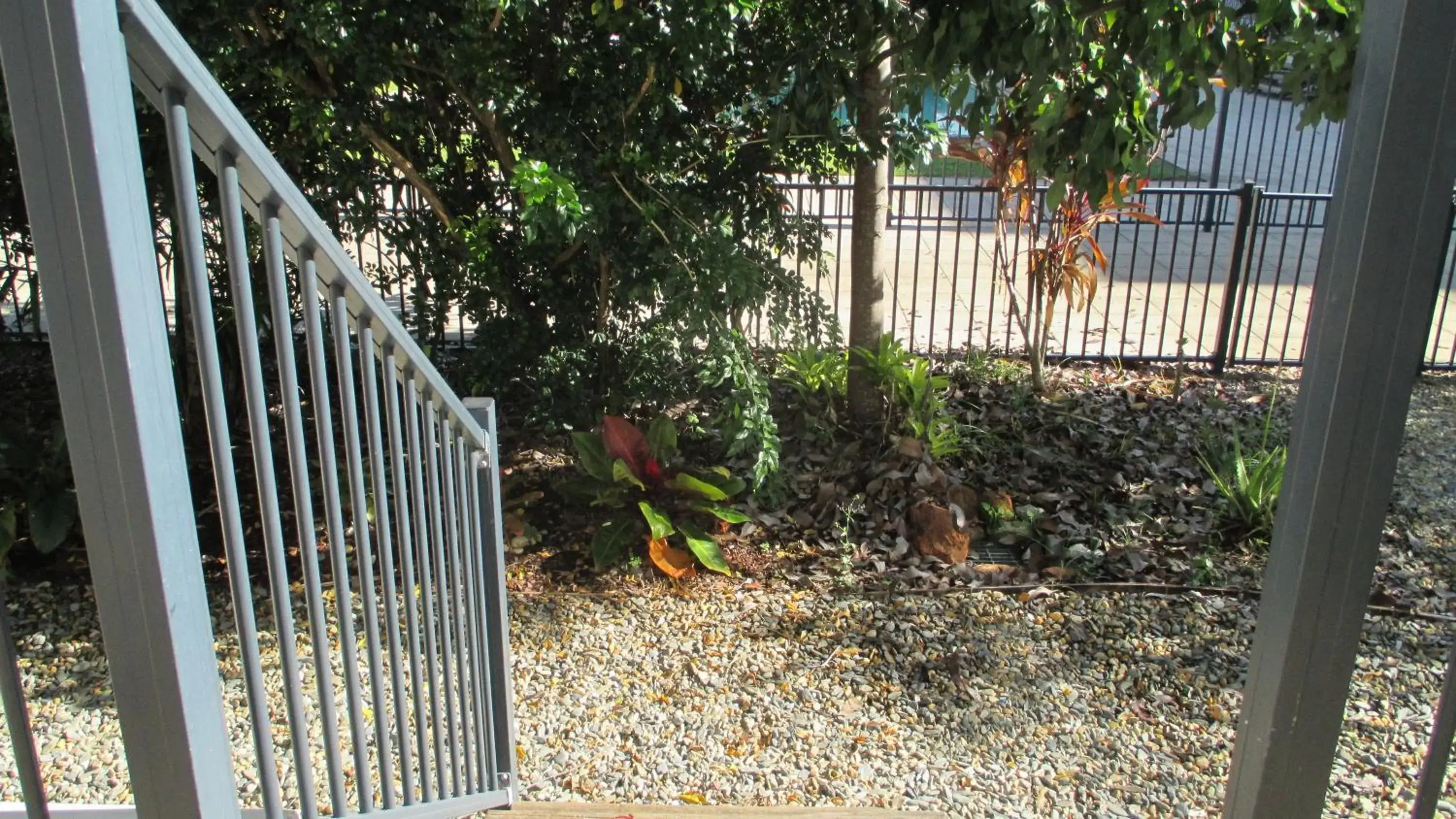 Garden in Edge Apartments Cairns