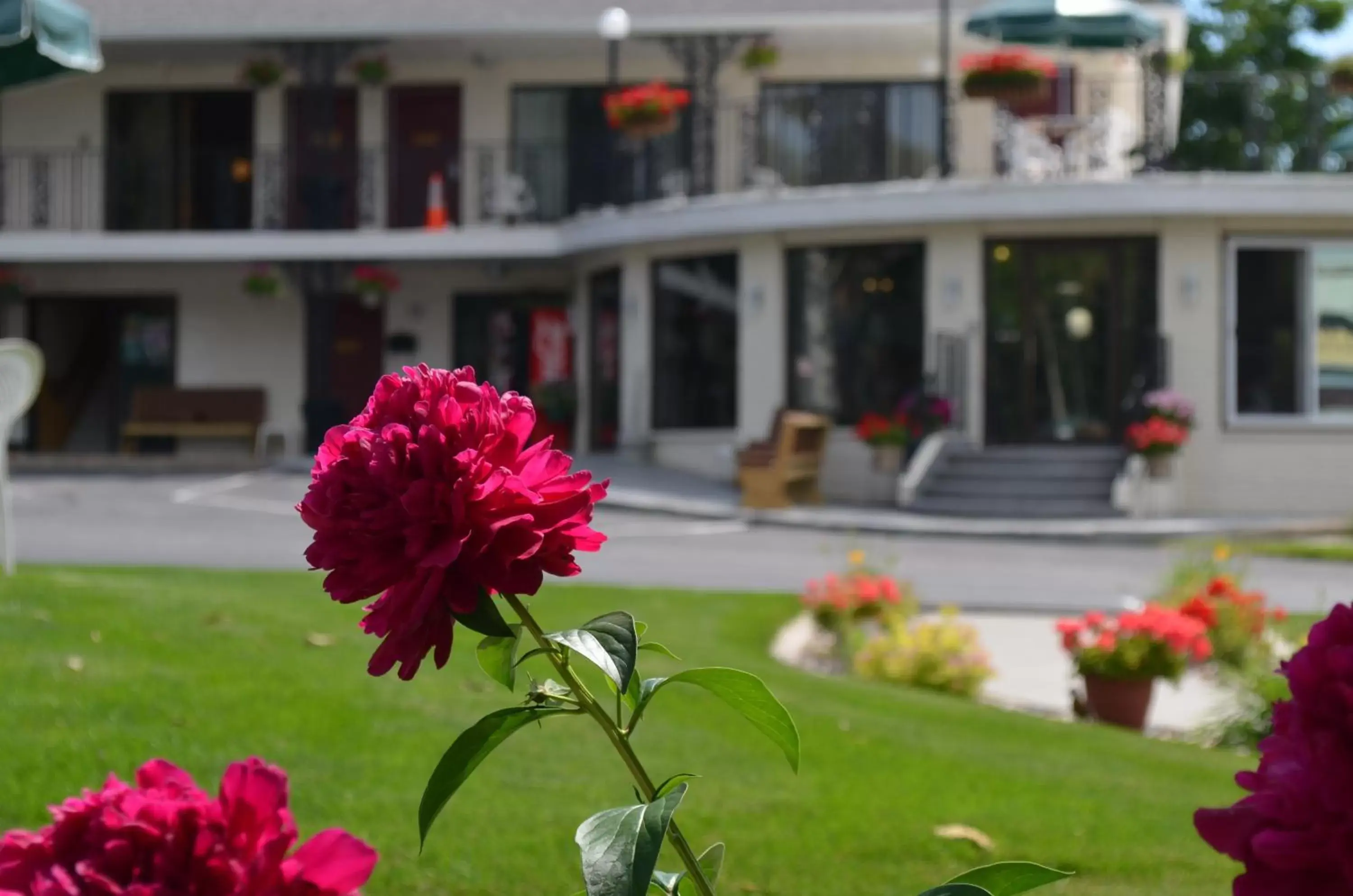 Facade/entrance in Amber's Inn and Suites Facade/entrance in Amber's Inn and Suites
