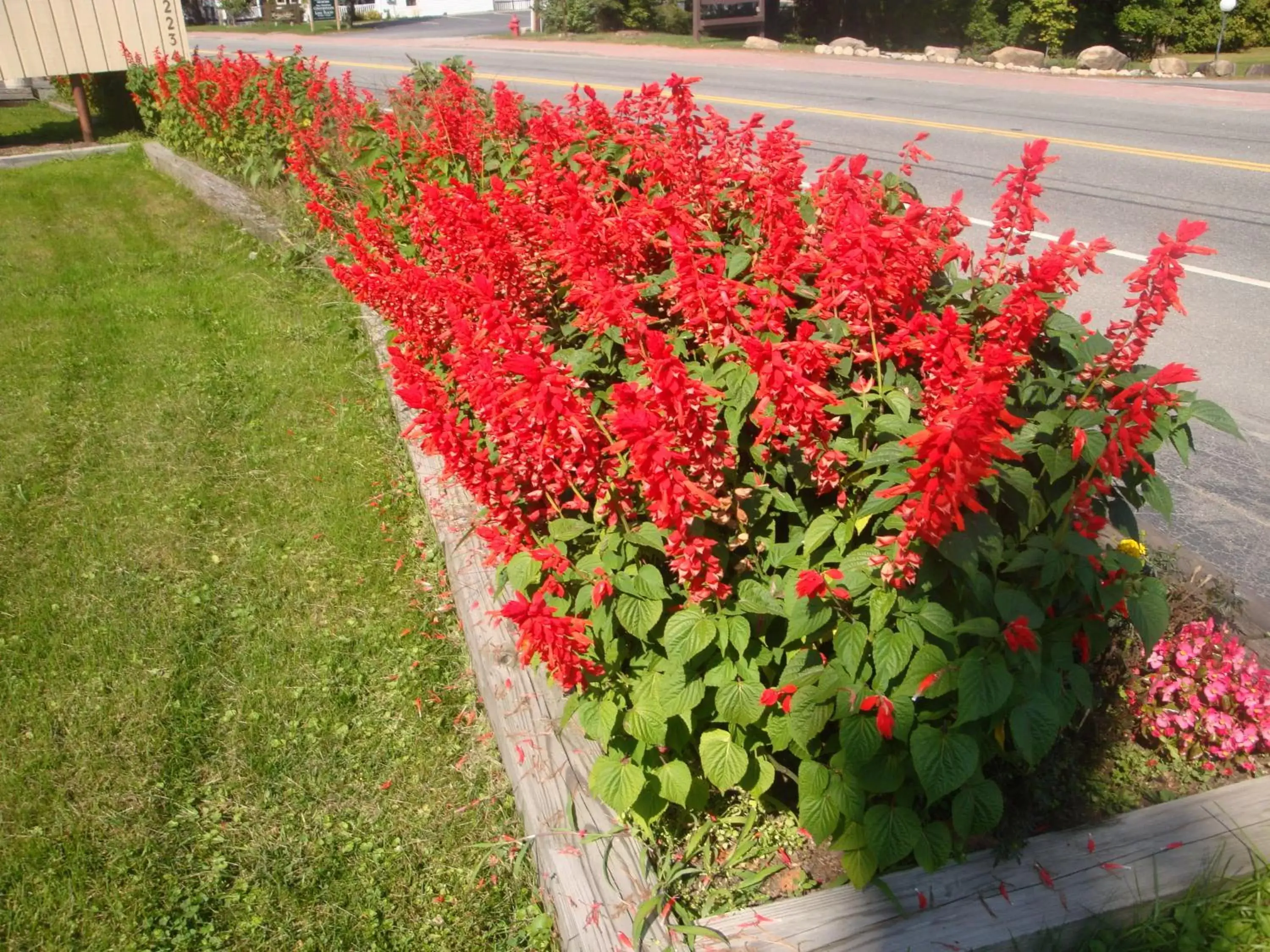 Facade/entrance, Garden in Maple Leaf Inn Lake Placid