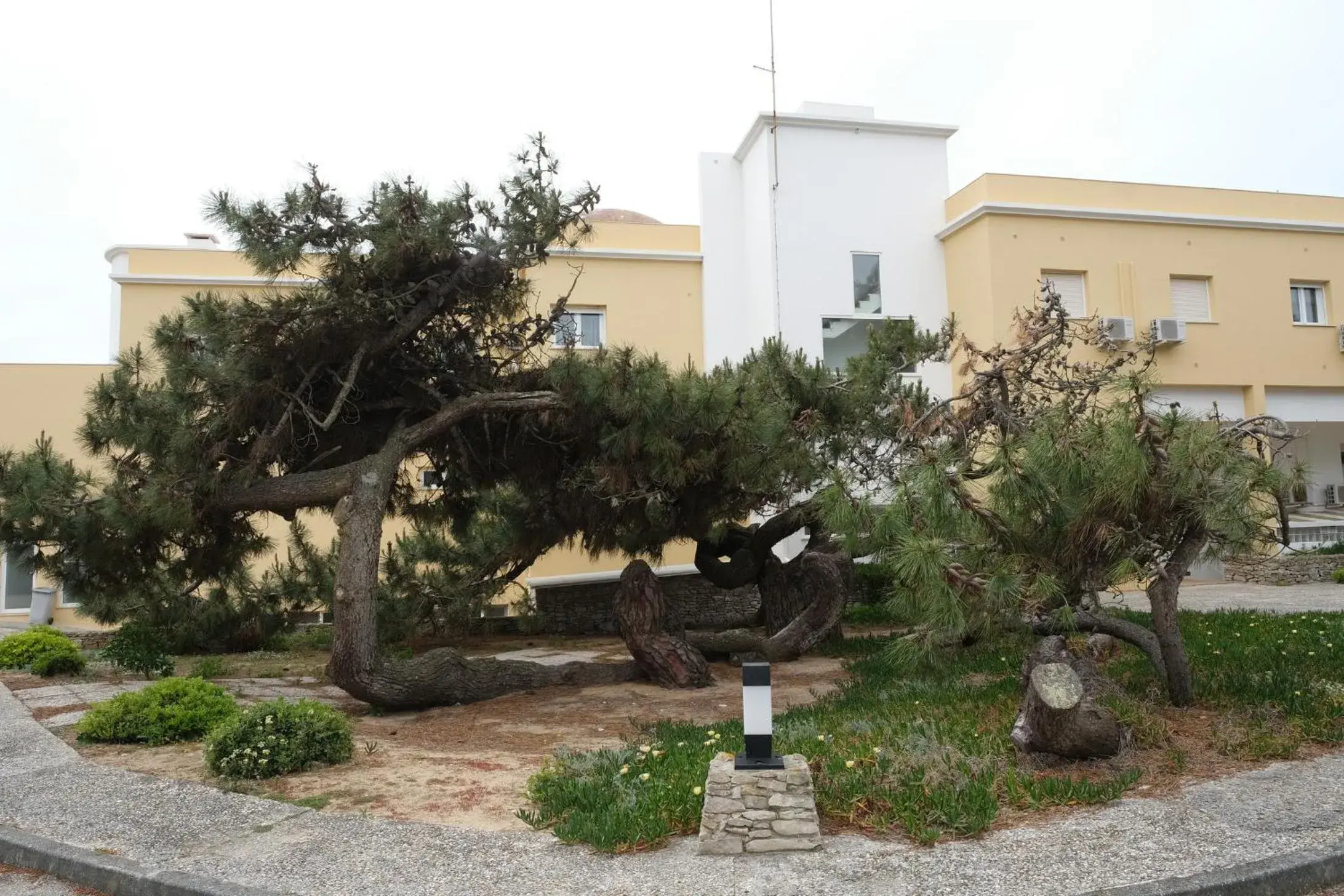 Garden view, Property Building in Hotel Pinhalmar