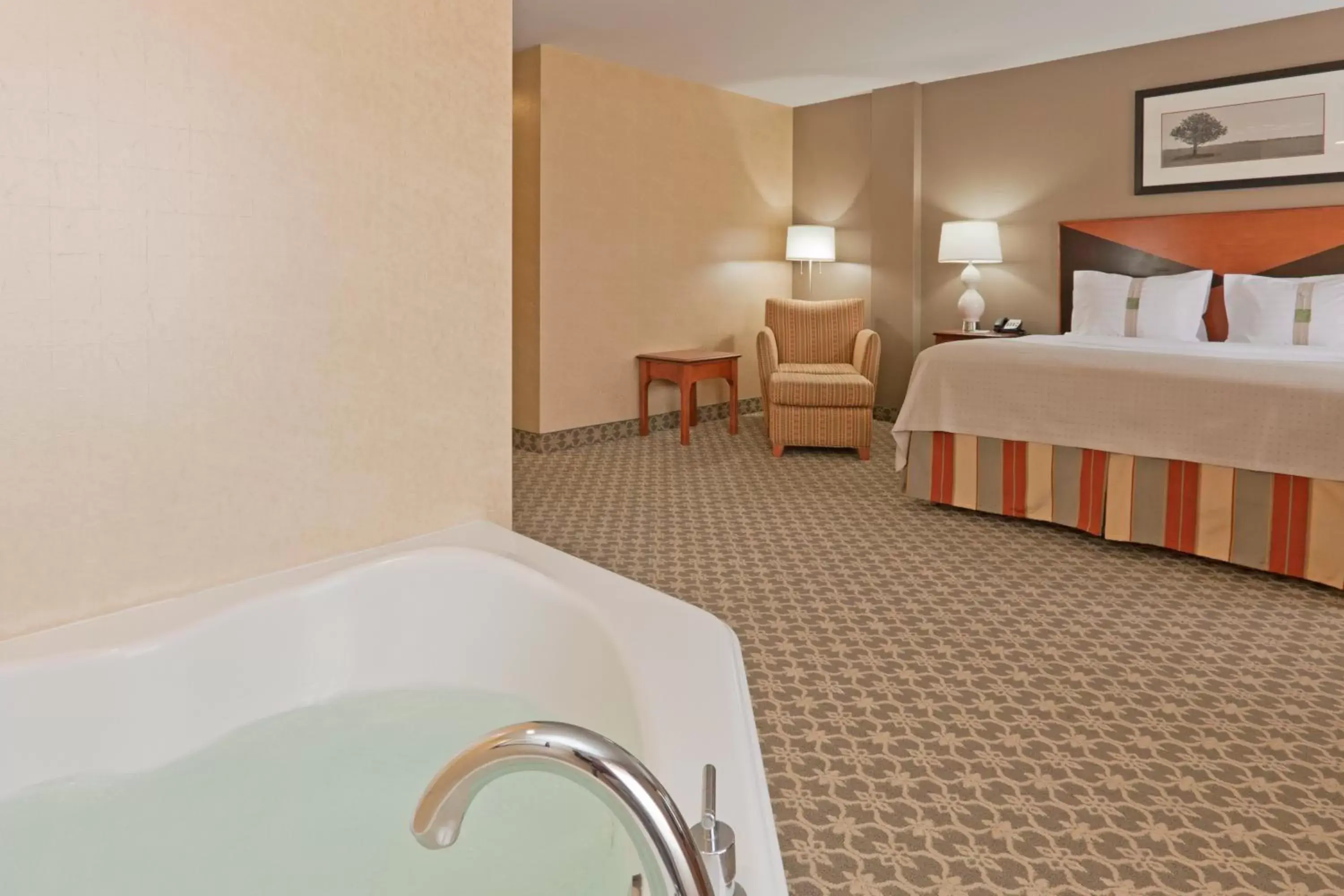 Photo of the whole room, Bed in Holiday Inn Carbondale - Conference Center, an IHG Hotel