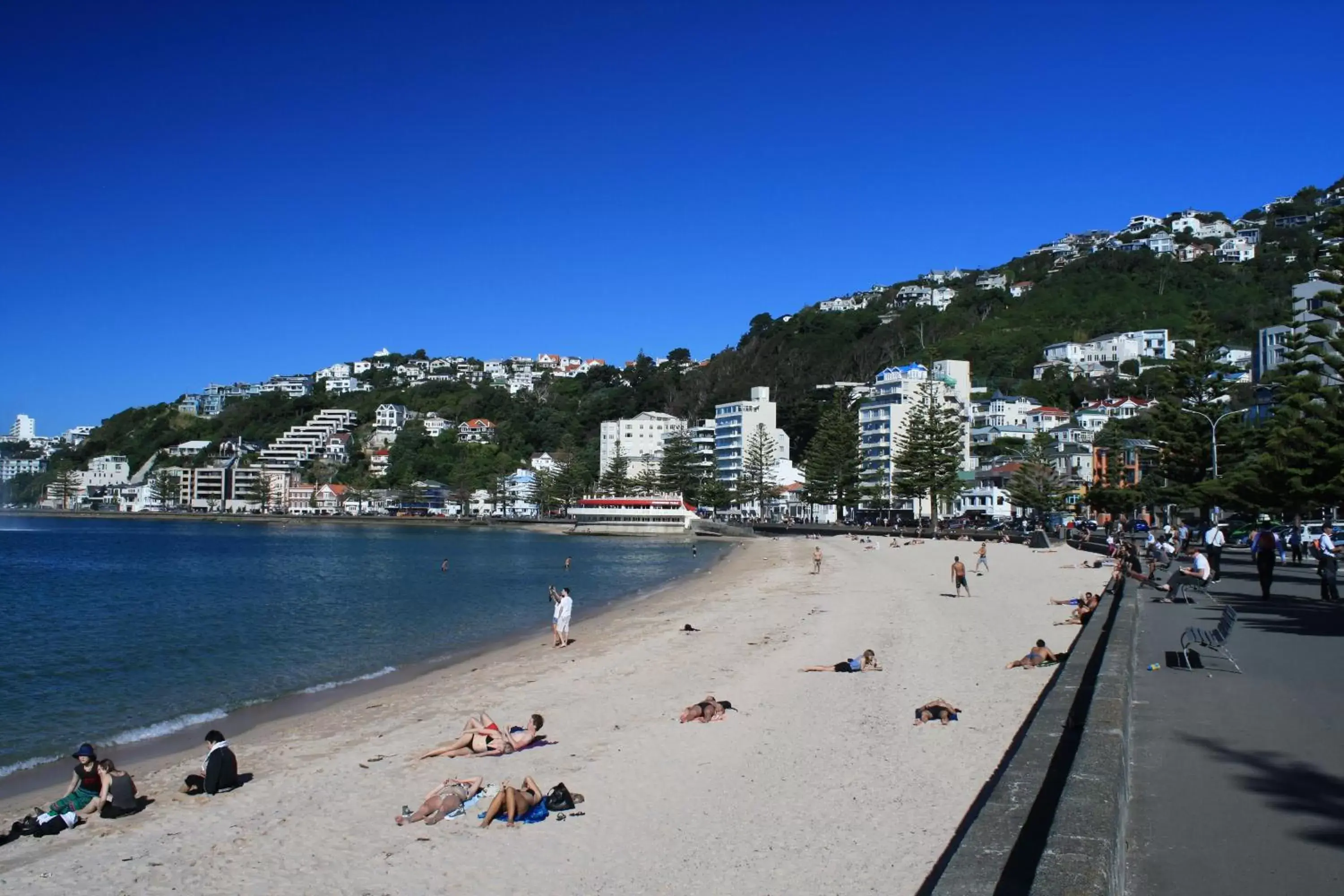 Beach in Bella Vista Motel Wellington