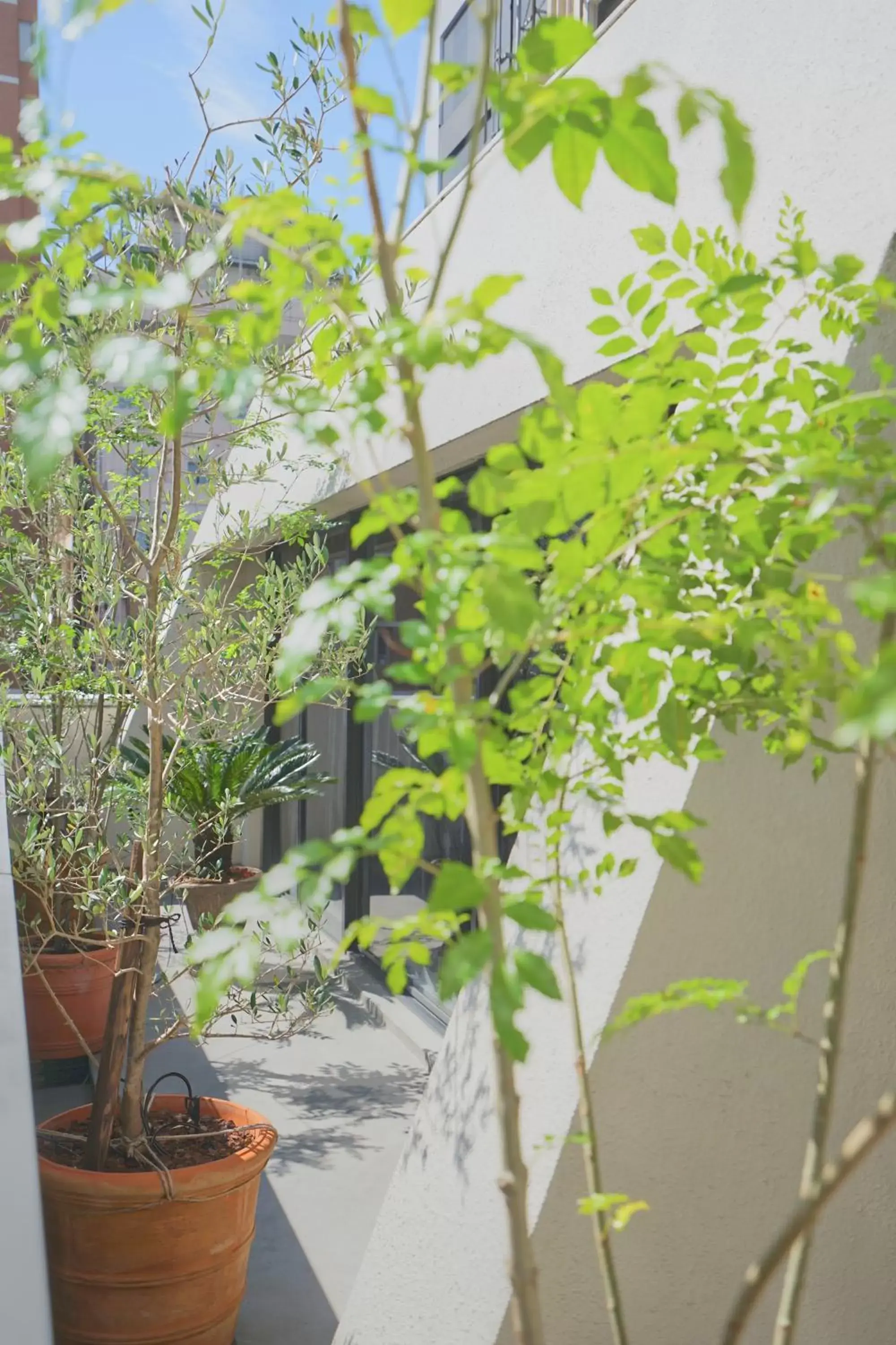 Property building in Feel Osaka Yu Property building in Feel Osaka Yu