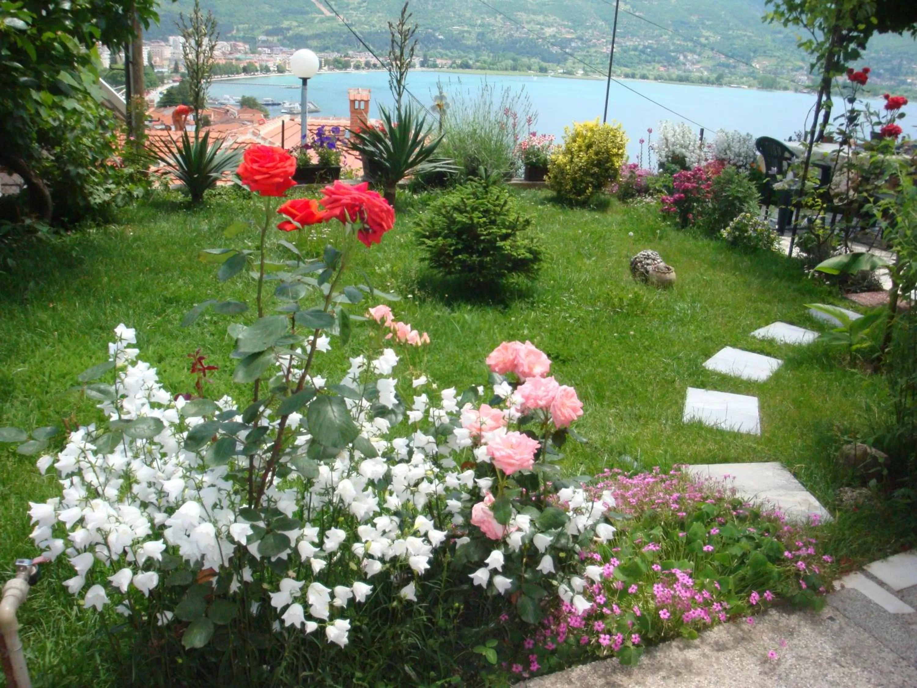 Garden in Apartments Villa Saray