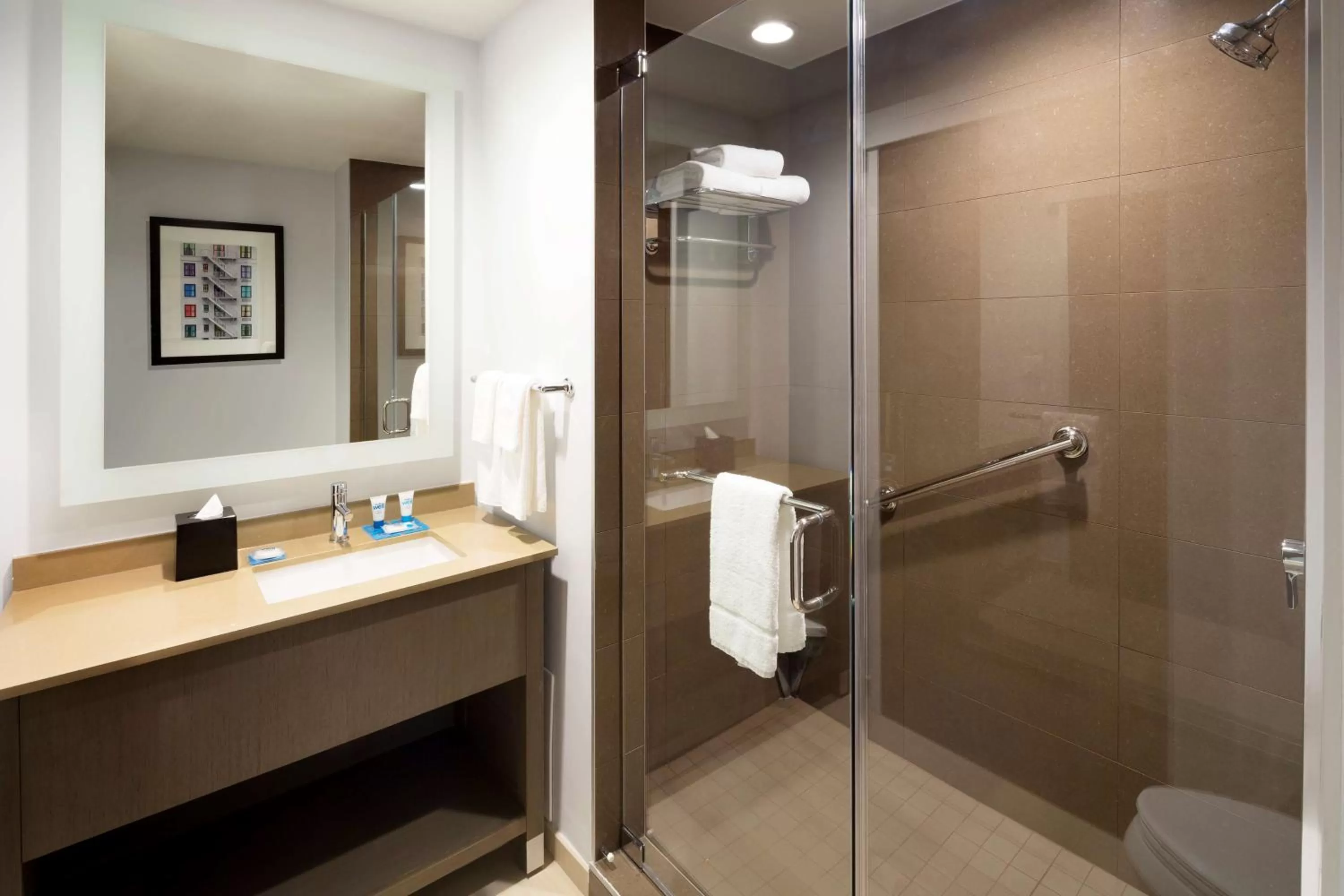 Bathroom in Hyatt House Dallas / Frisco