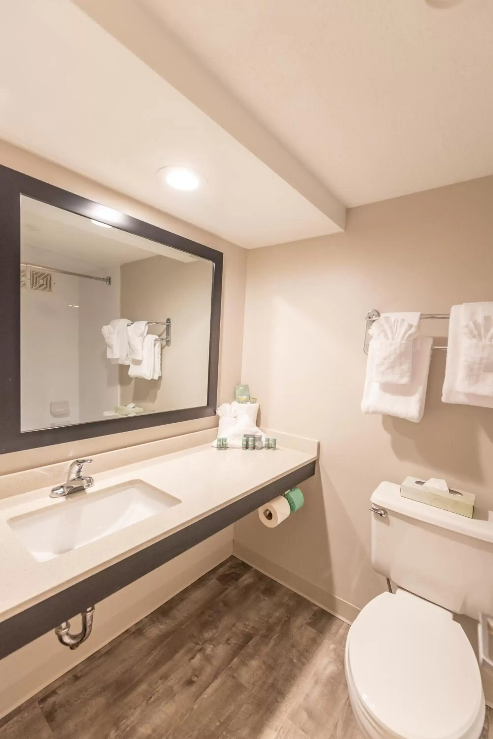 Bathroom in SureStay Plus Hotel by Best Western Lehigh Valley