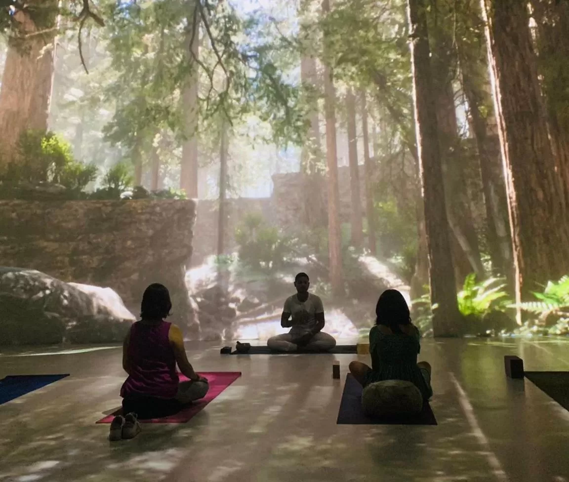 People in Hotel La Casa de los Árboles Immersive Experience