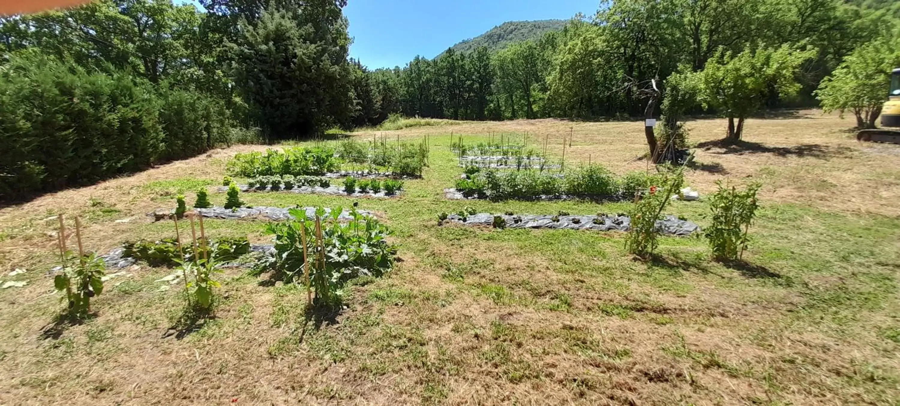 Garden in Masseria boutique b&b