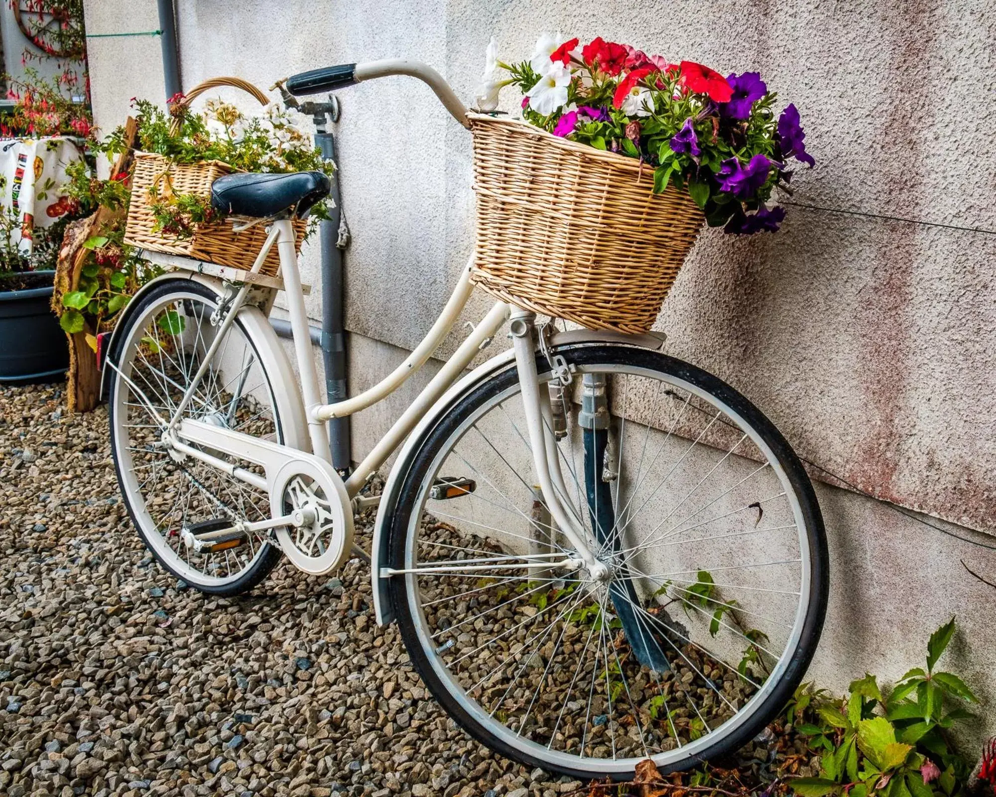 Biking in Jacob's Well Hotel