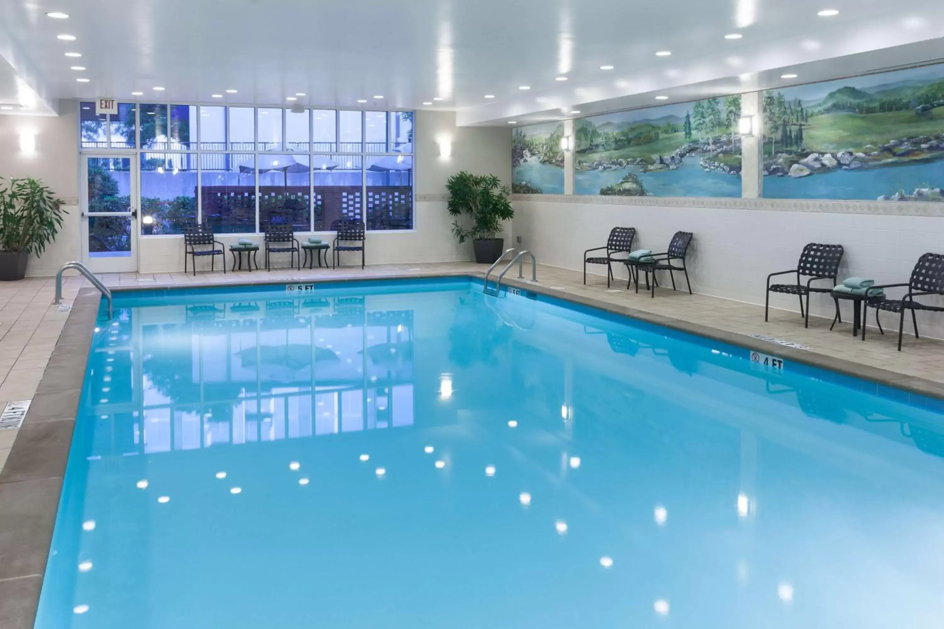 Pool view, Swimming Pool in Hilton Garden Inn Nashville Vanderbilt