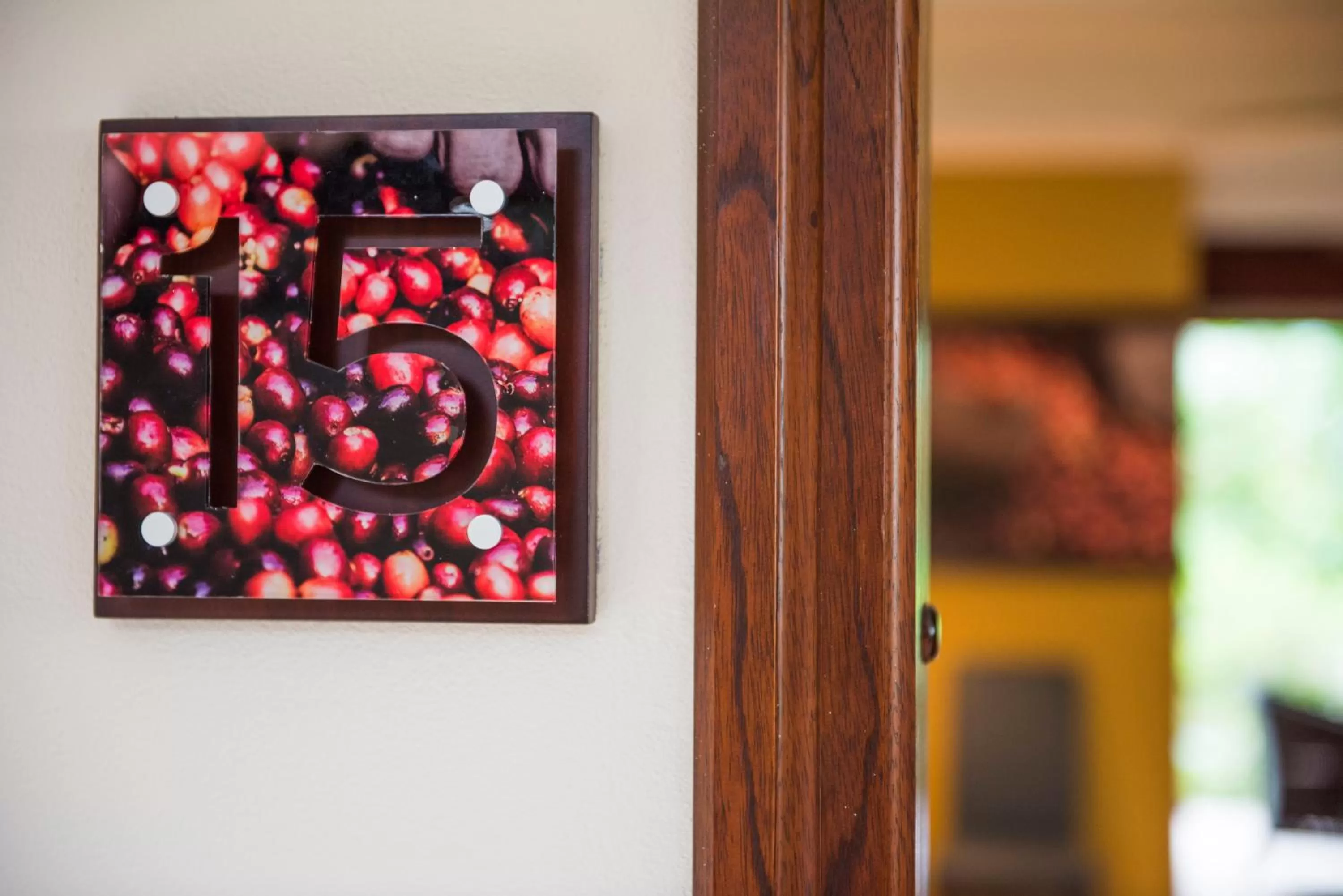 Balcony/Terrace in Pumilio Mountain & Ocean Hotel