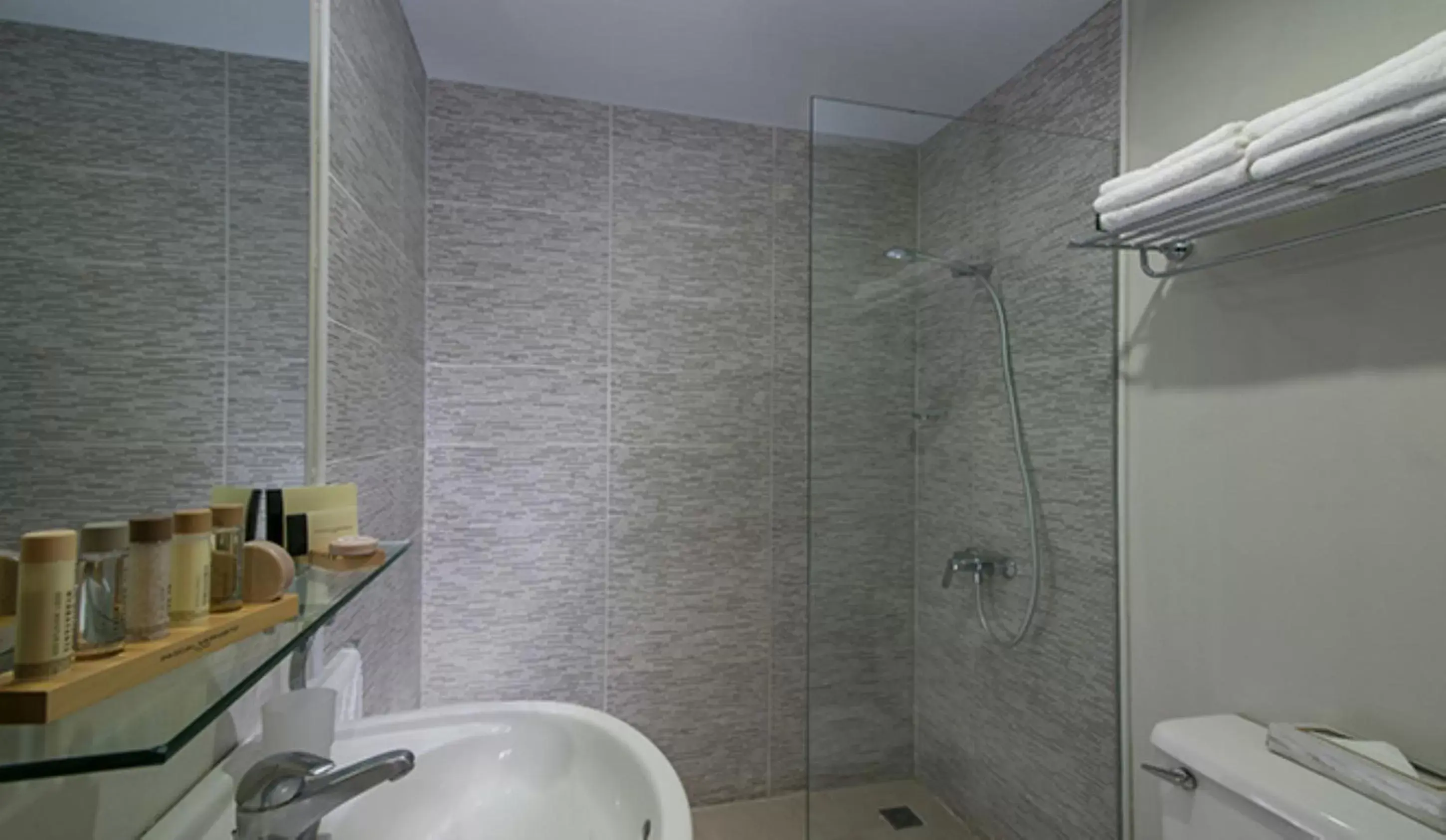 Shower, Bathroom in Hodelpa Caribe Colonial