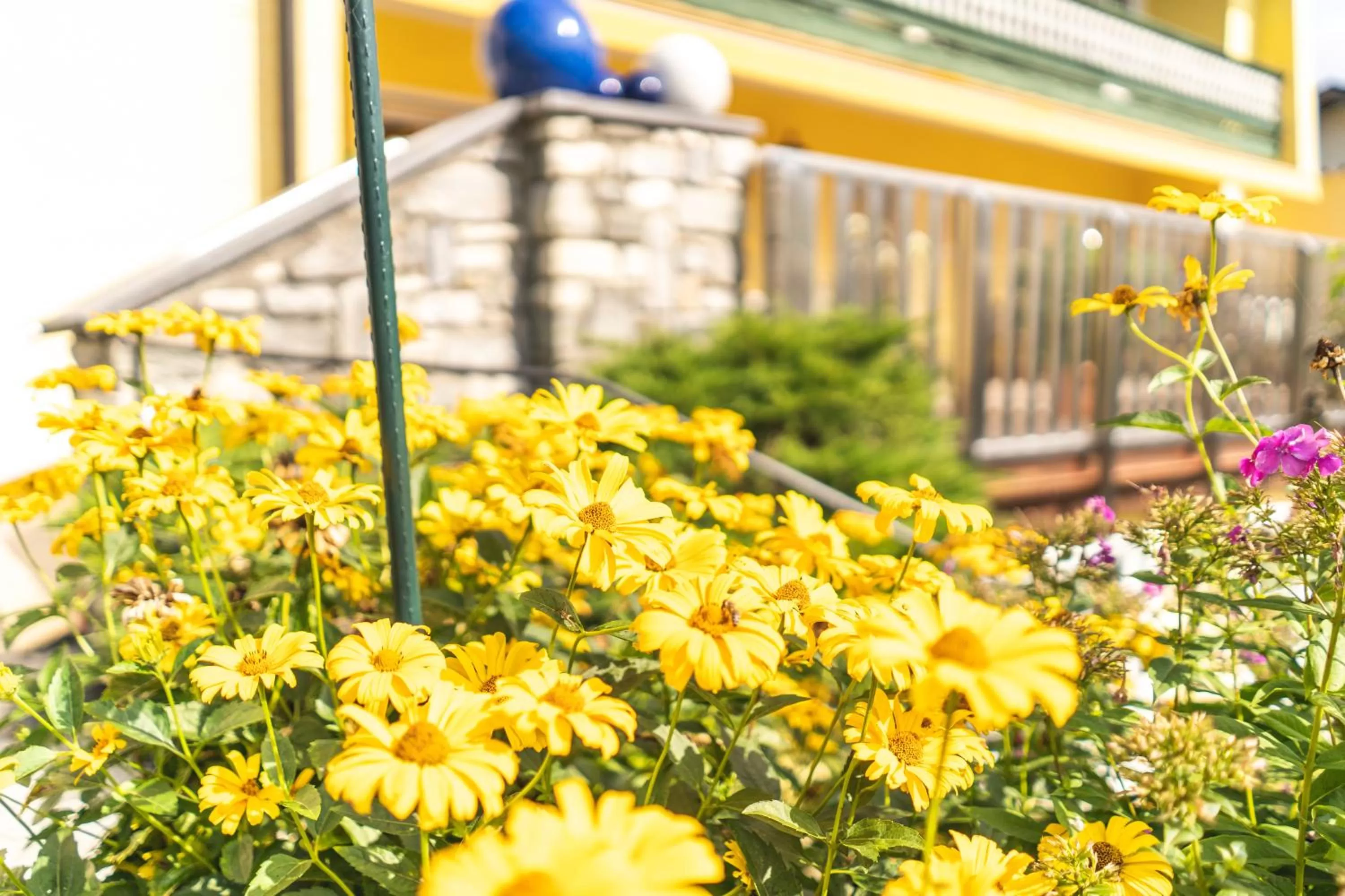 Property building in Hotel Steffl Garni inkl Chiemgau Karte