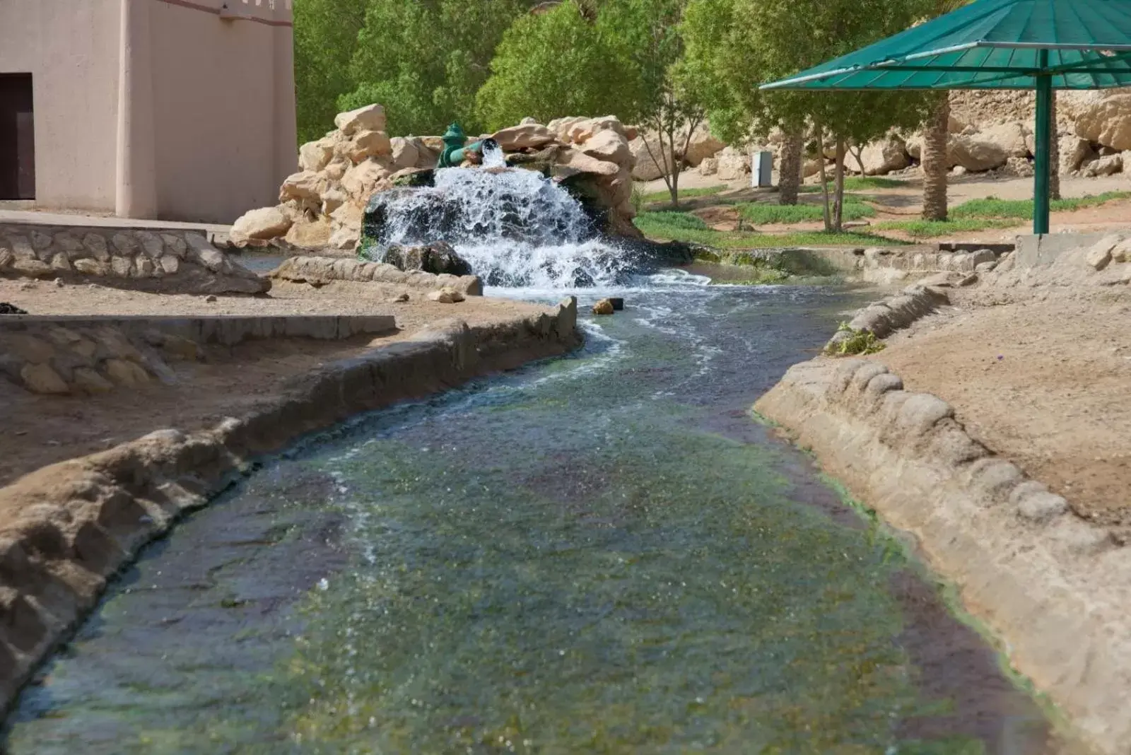 Garden in Green Mubazzarah Chalets